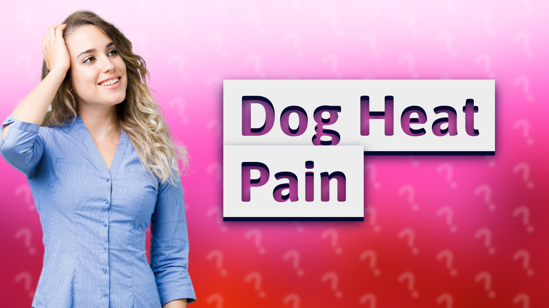 Dog Heat Pain