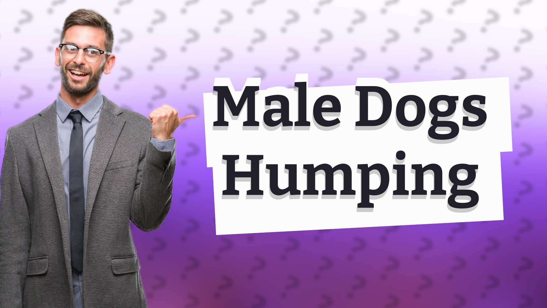 Male Dogs Humping
