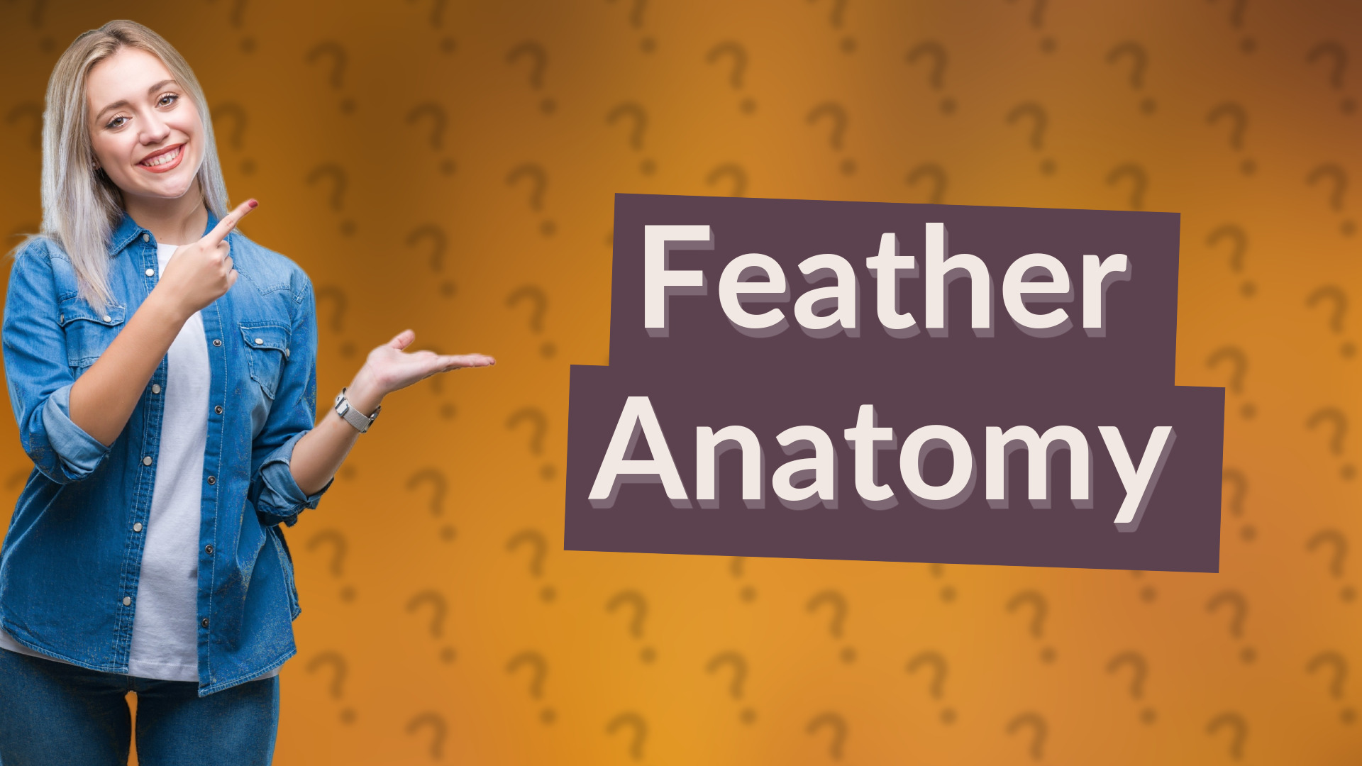 Feather Anatomy