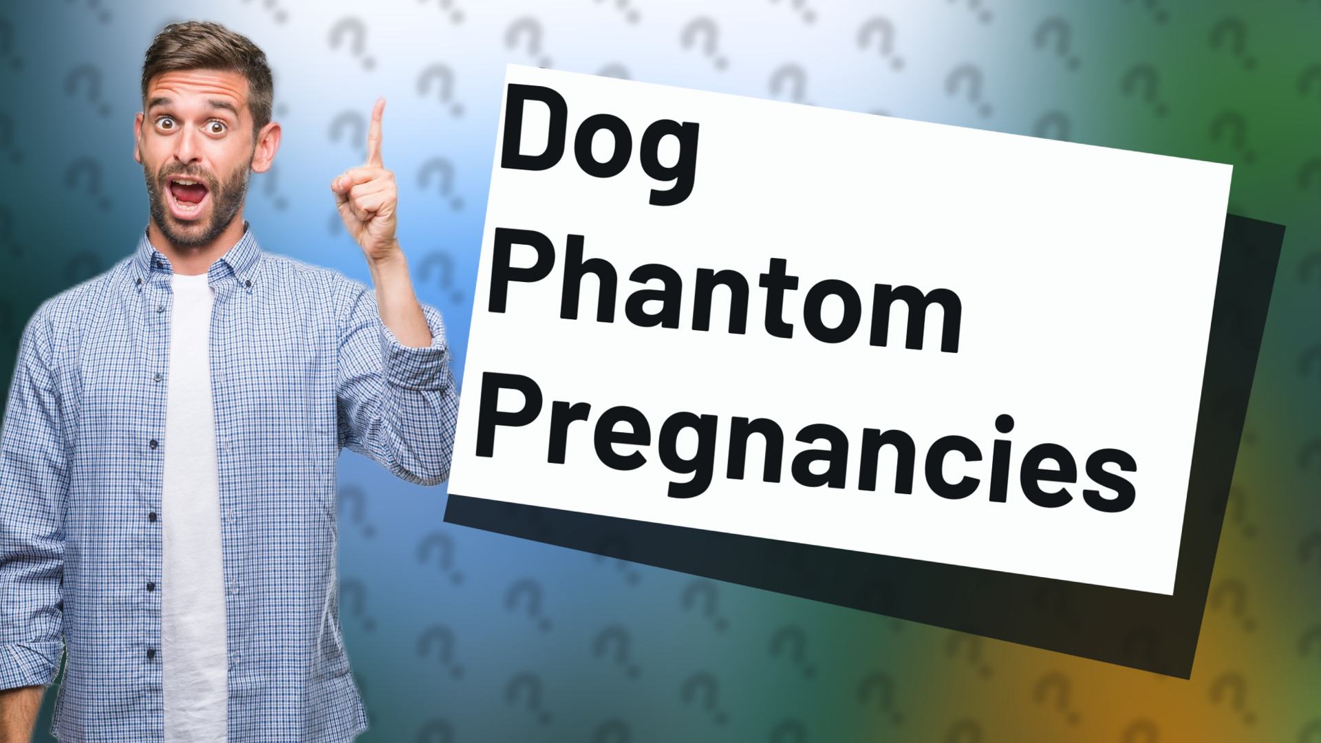 Dog Phantom Pregnancies