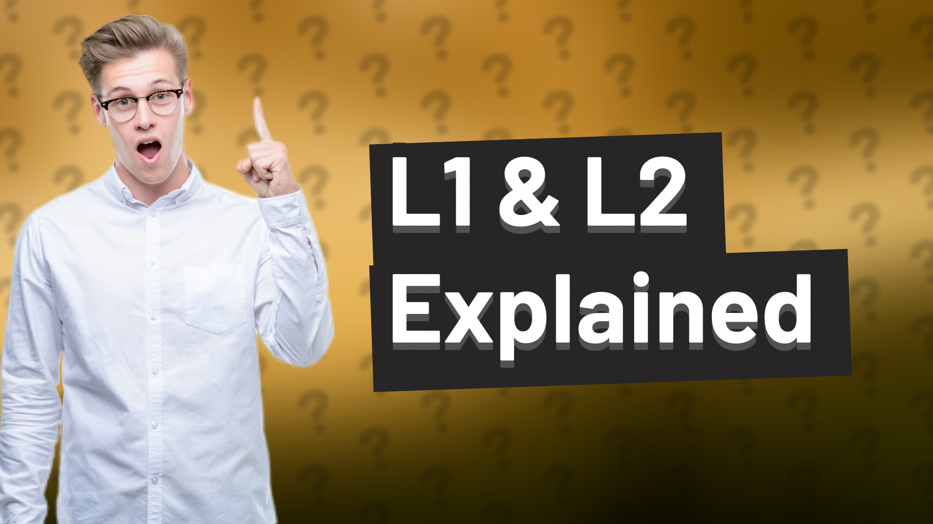 L1 & L2 Explained
