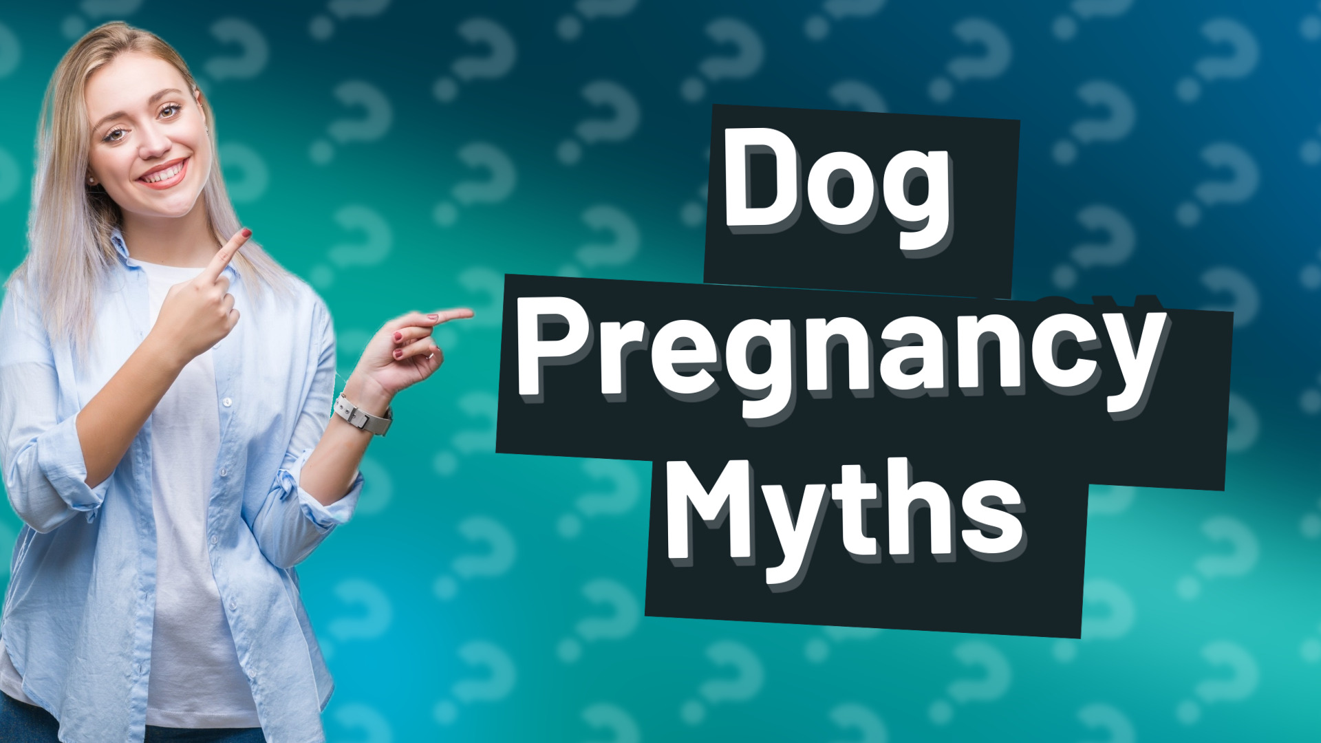 Dog Pregnancy Myths