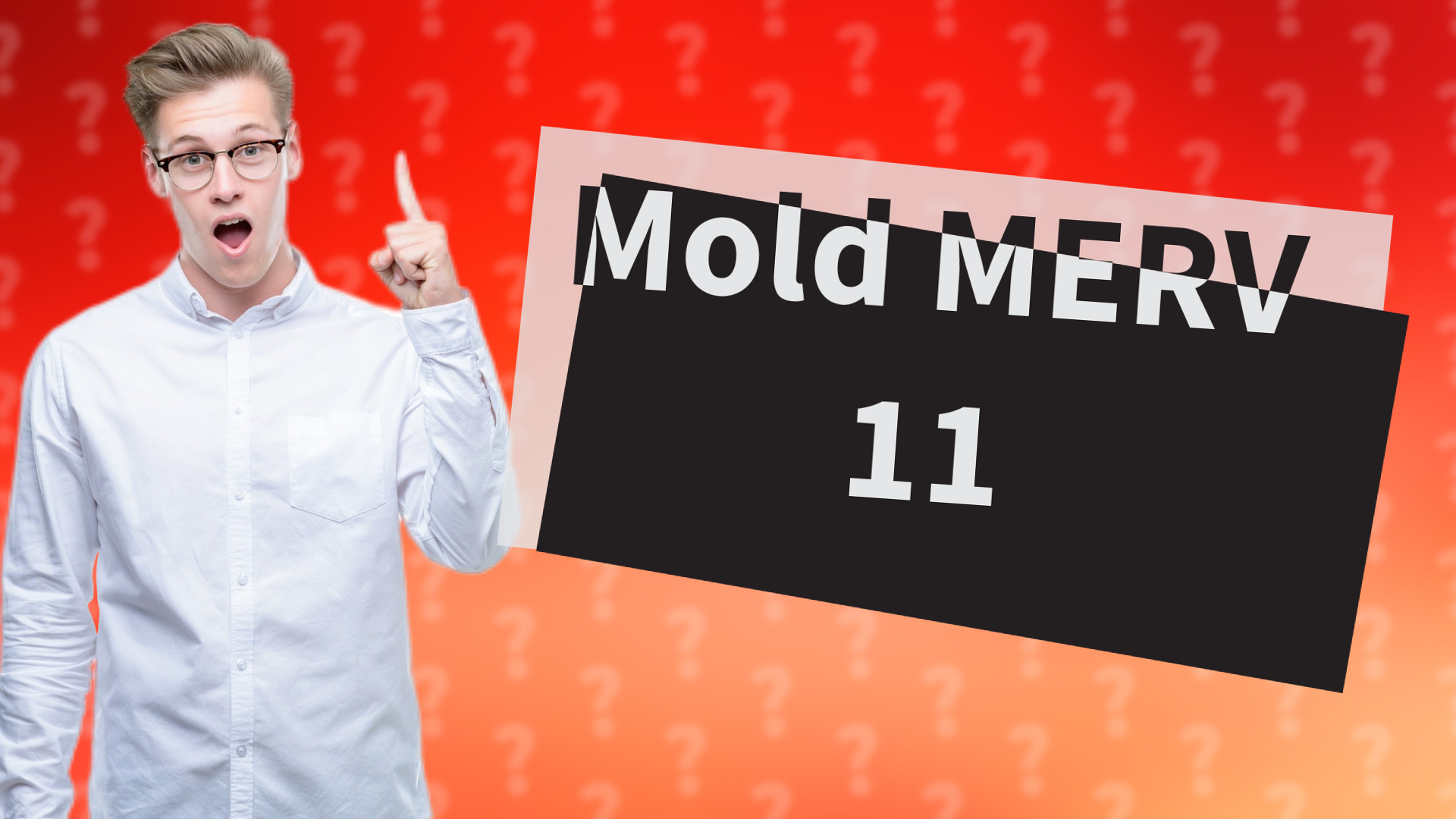 Mold MERV 11