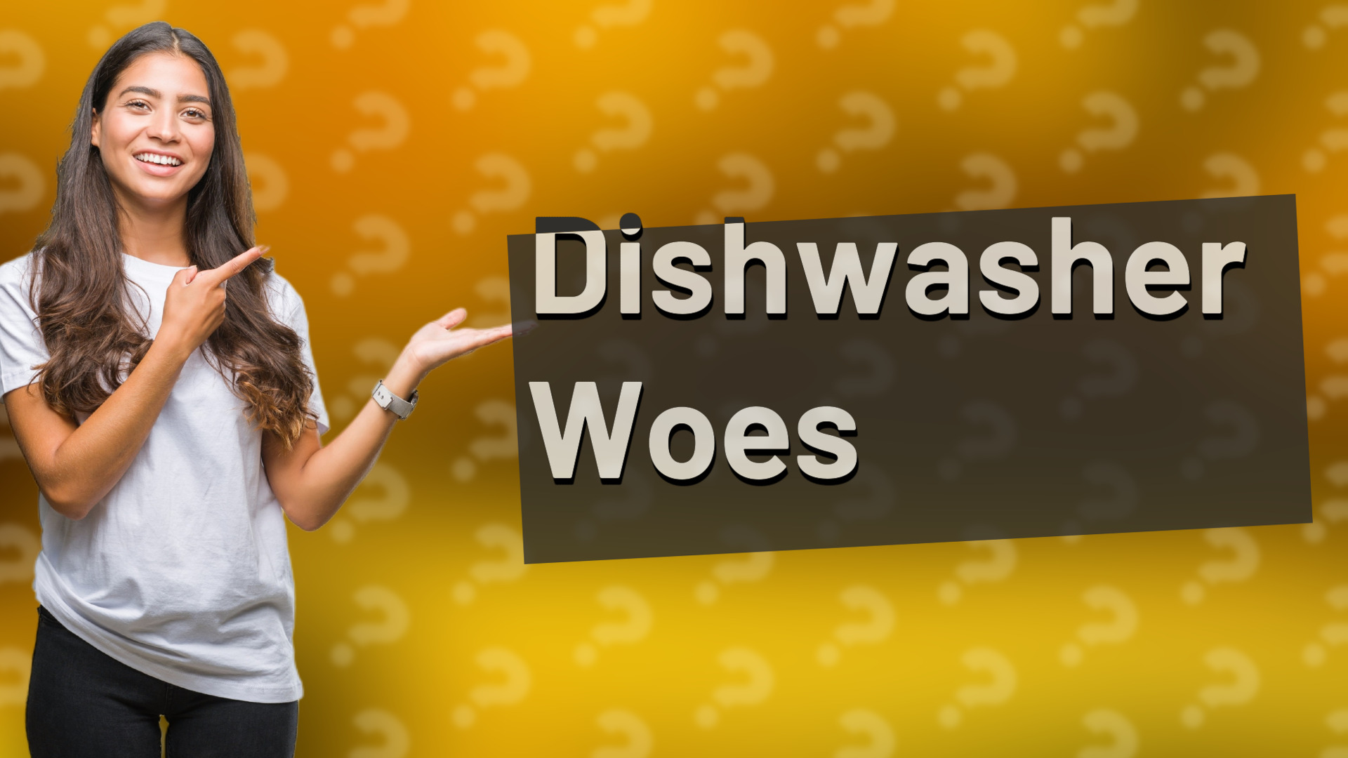 Dishwasher Woes
