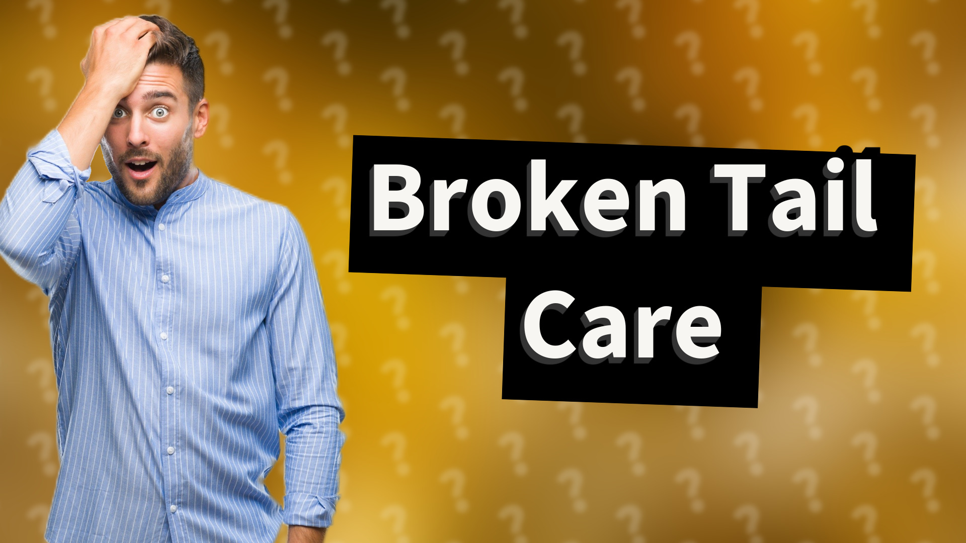 Broken Tail Care
