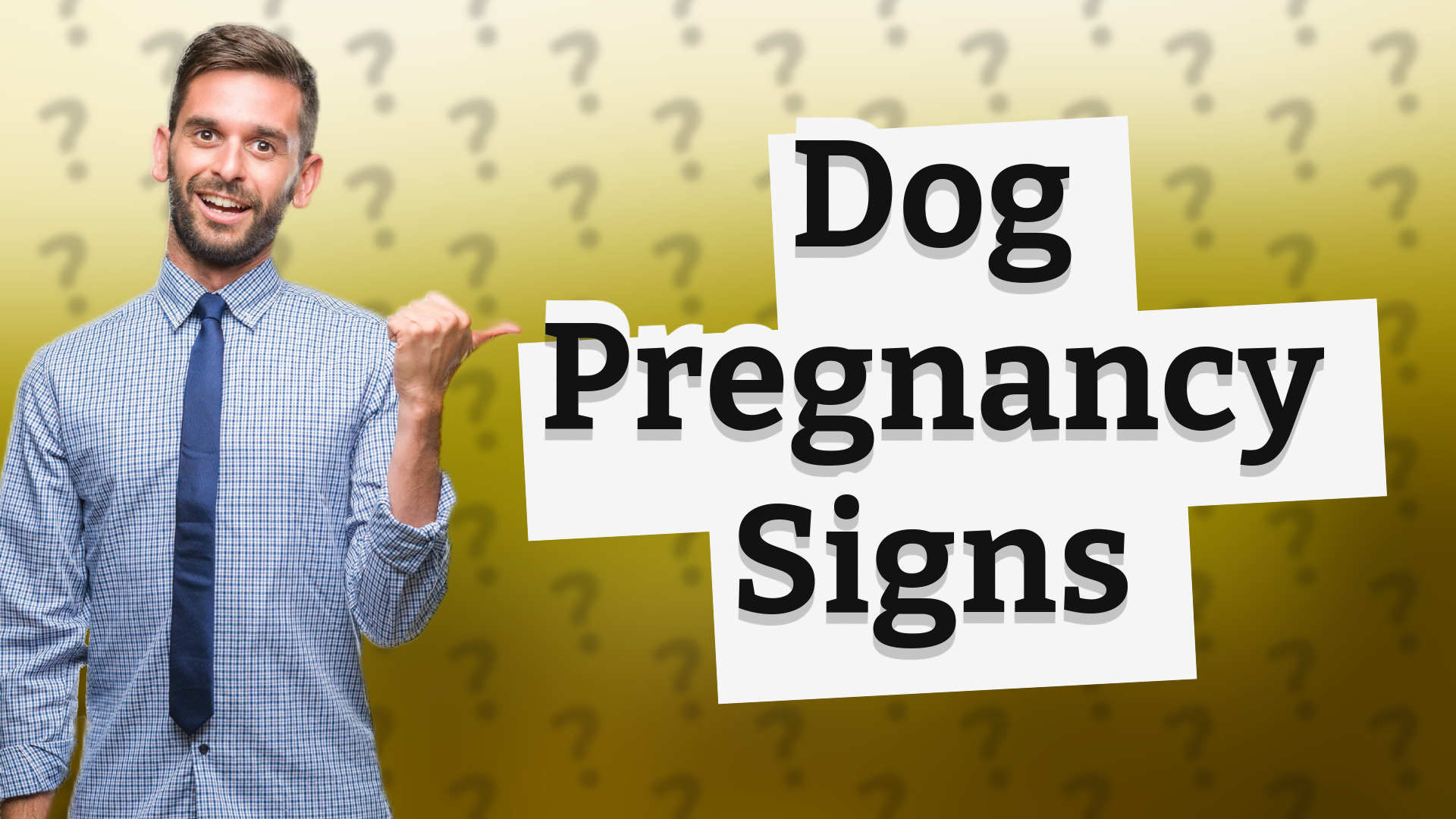 Dog Pregnancy Signs