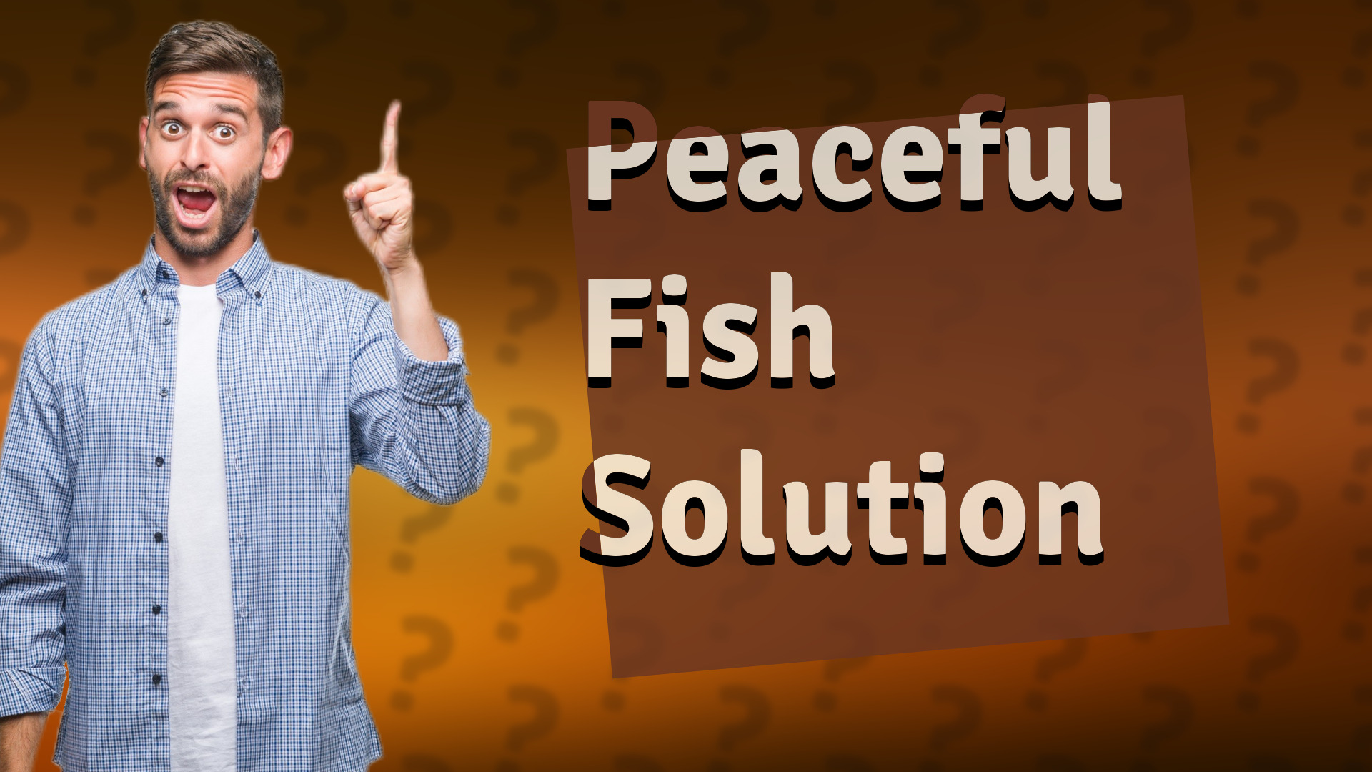 Peaceful Fish Solution