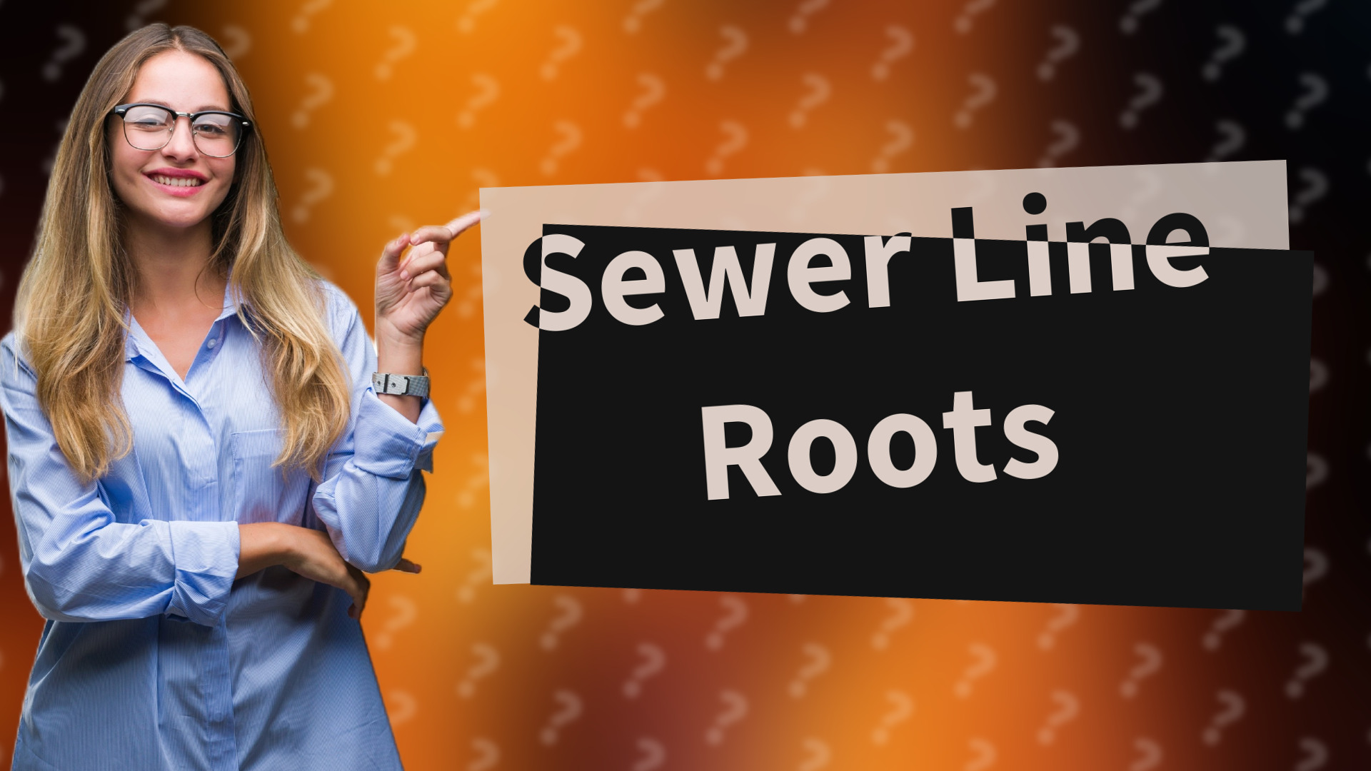 Sewer Line Roots