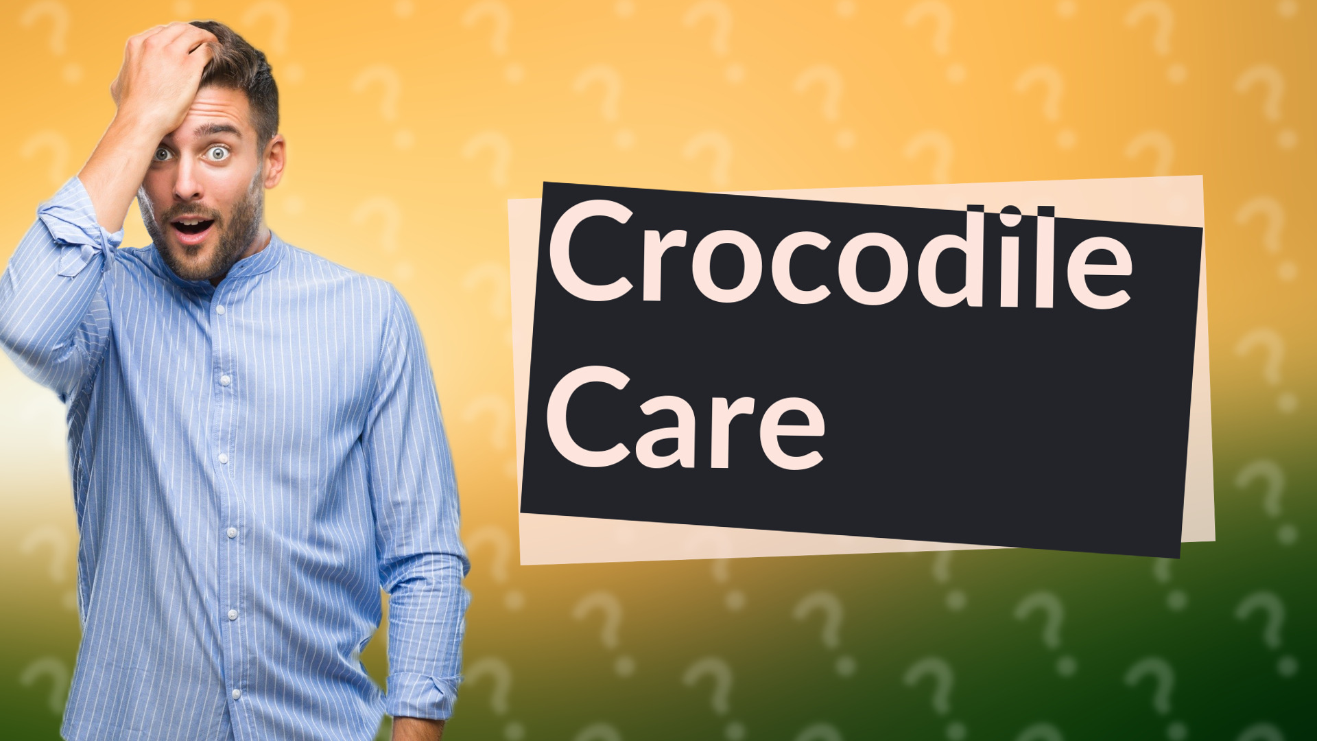 Crocodile Care