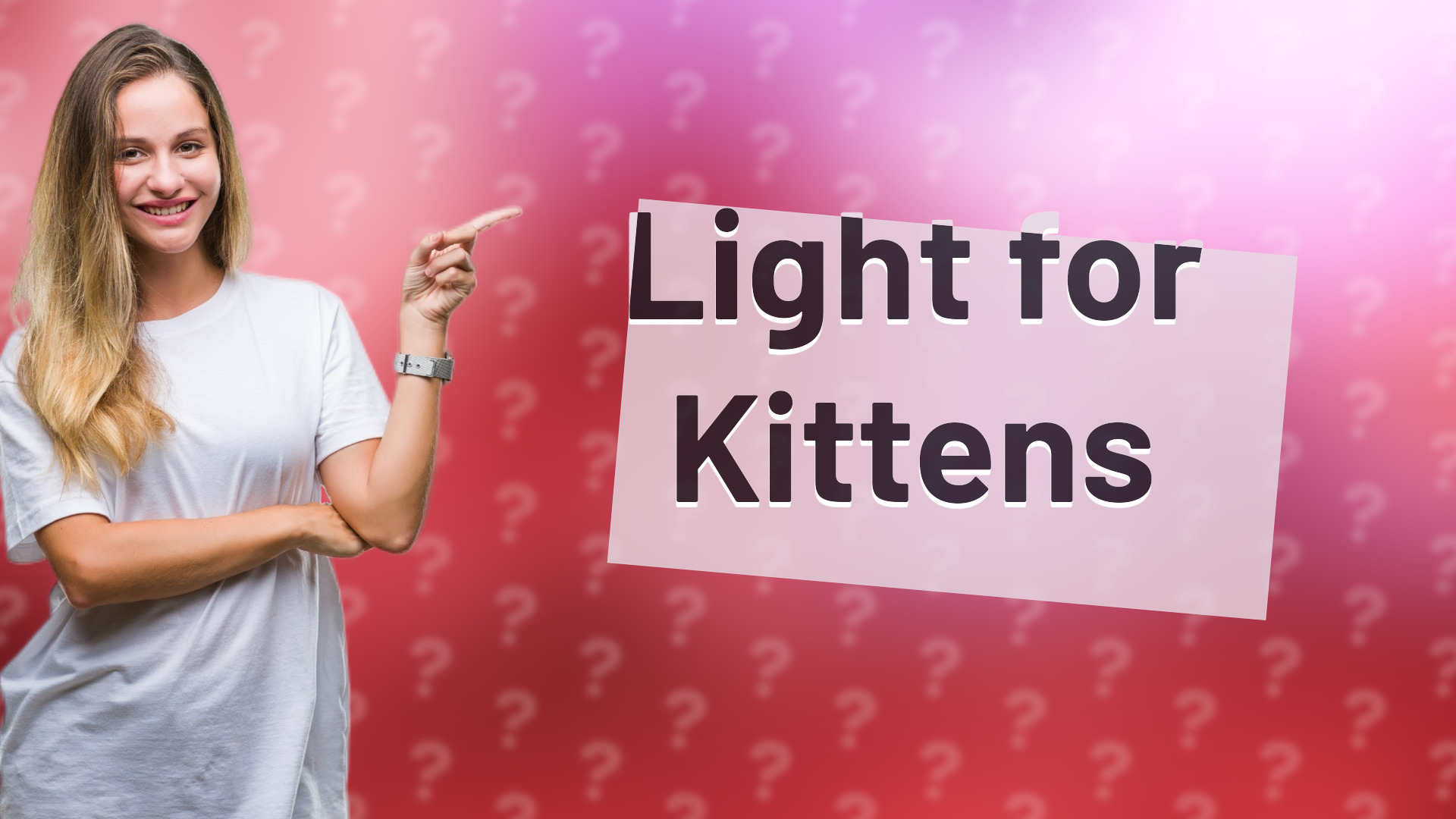 Light for Kittens