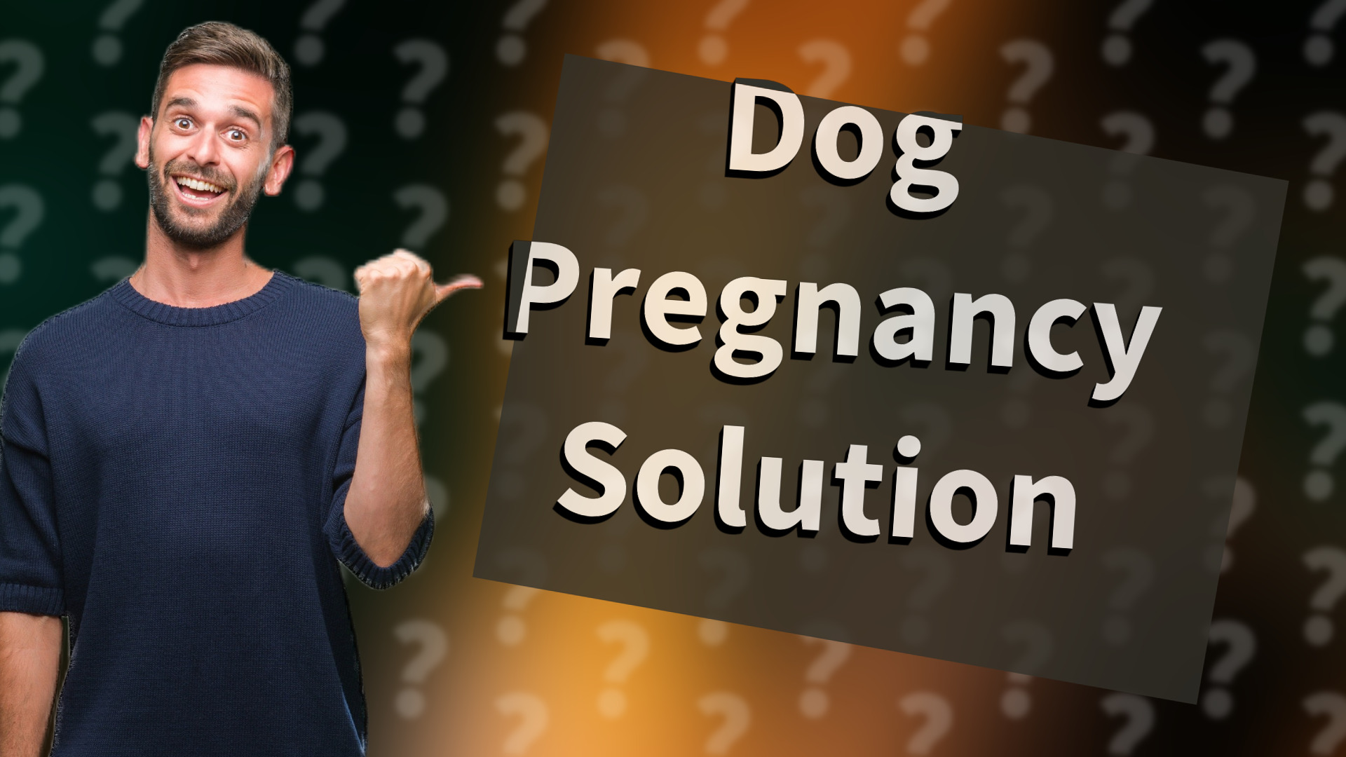 Dog Pregnancy Solution