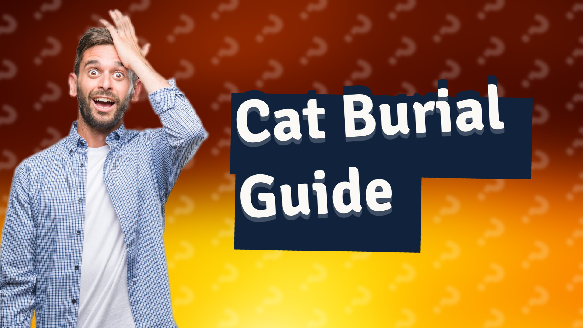 Cat Burial Guide