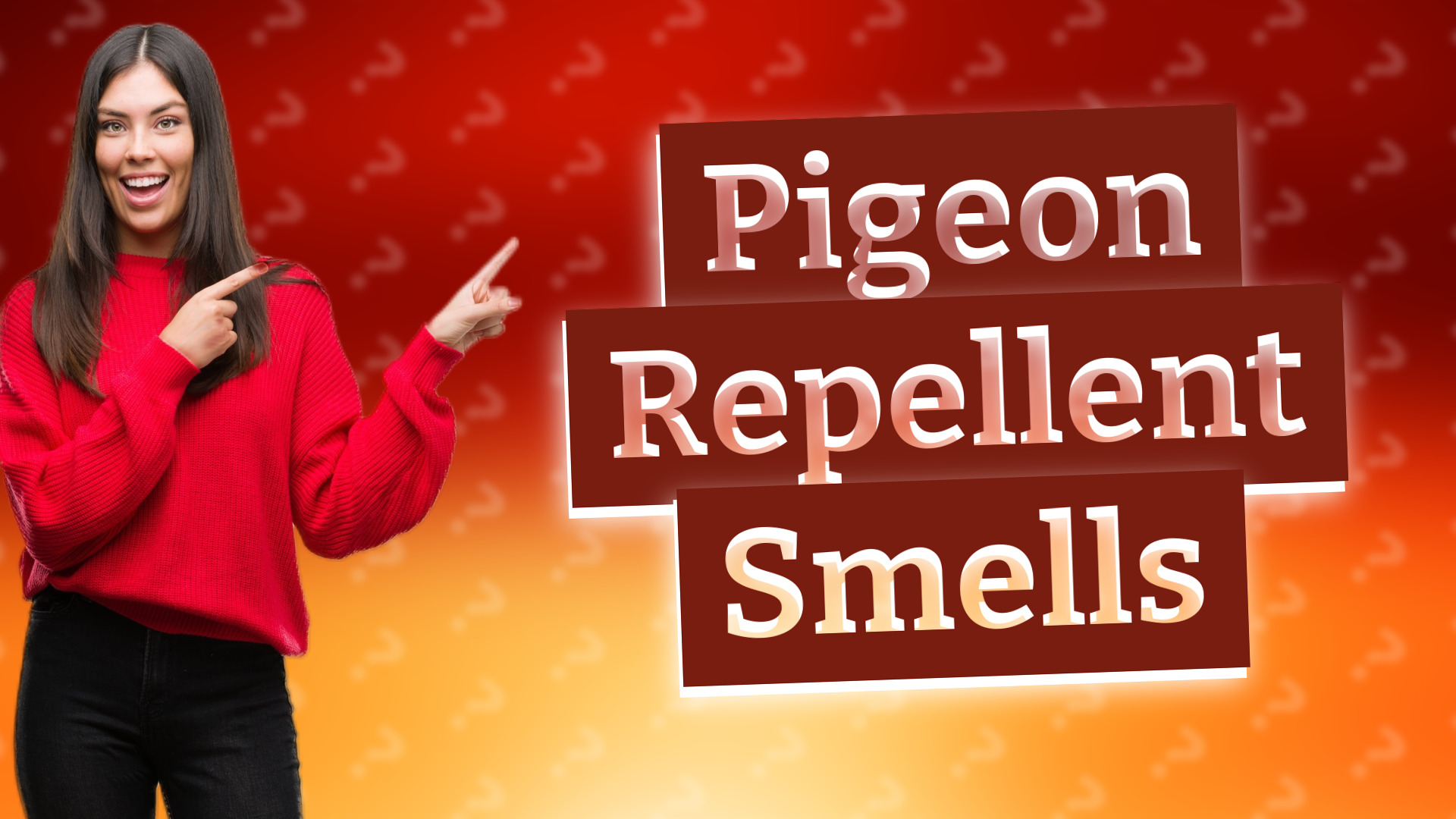 Pigeon Repellent Smells