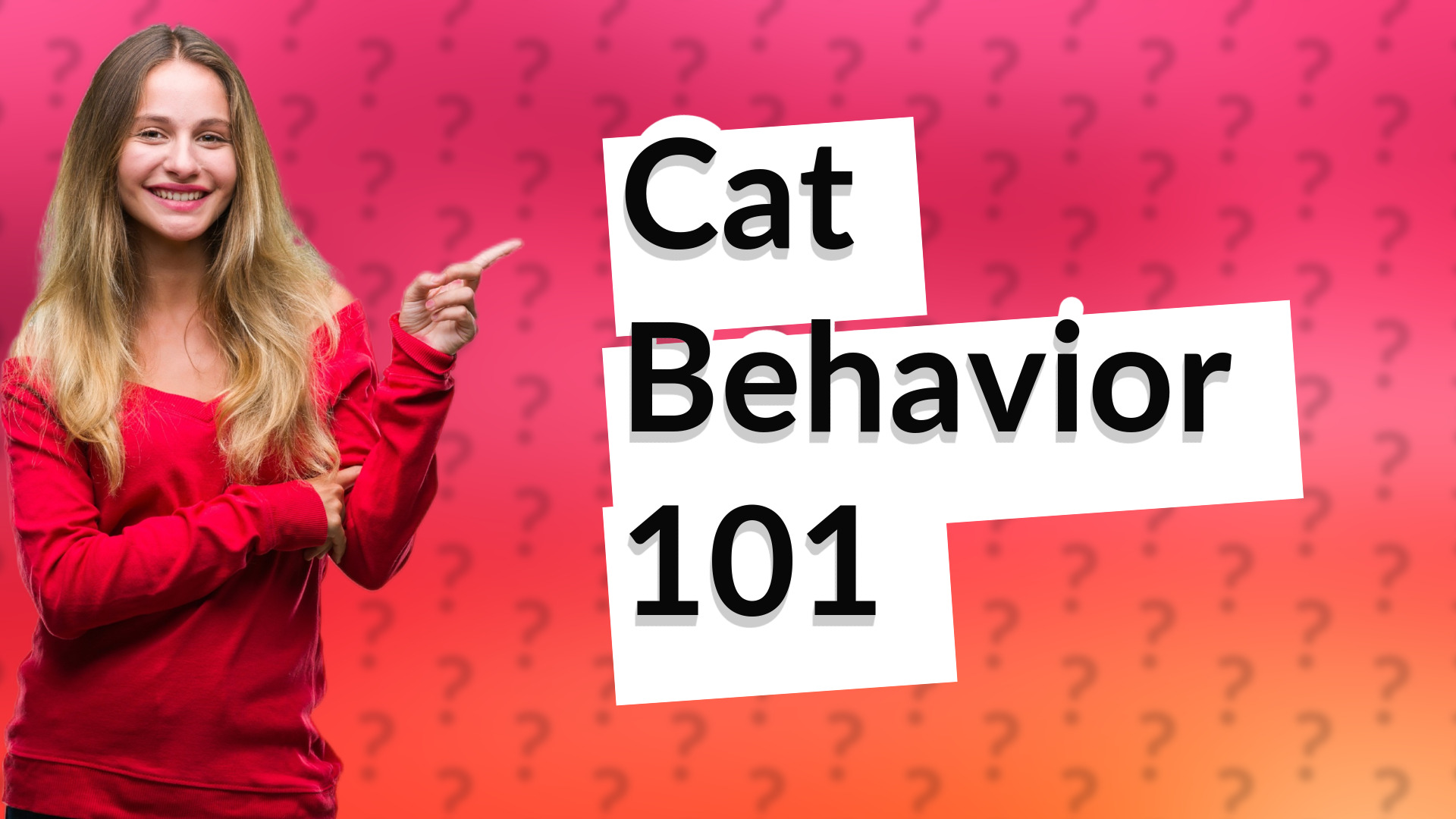 Cat Behavior 101
