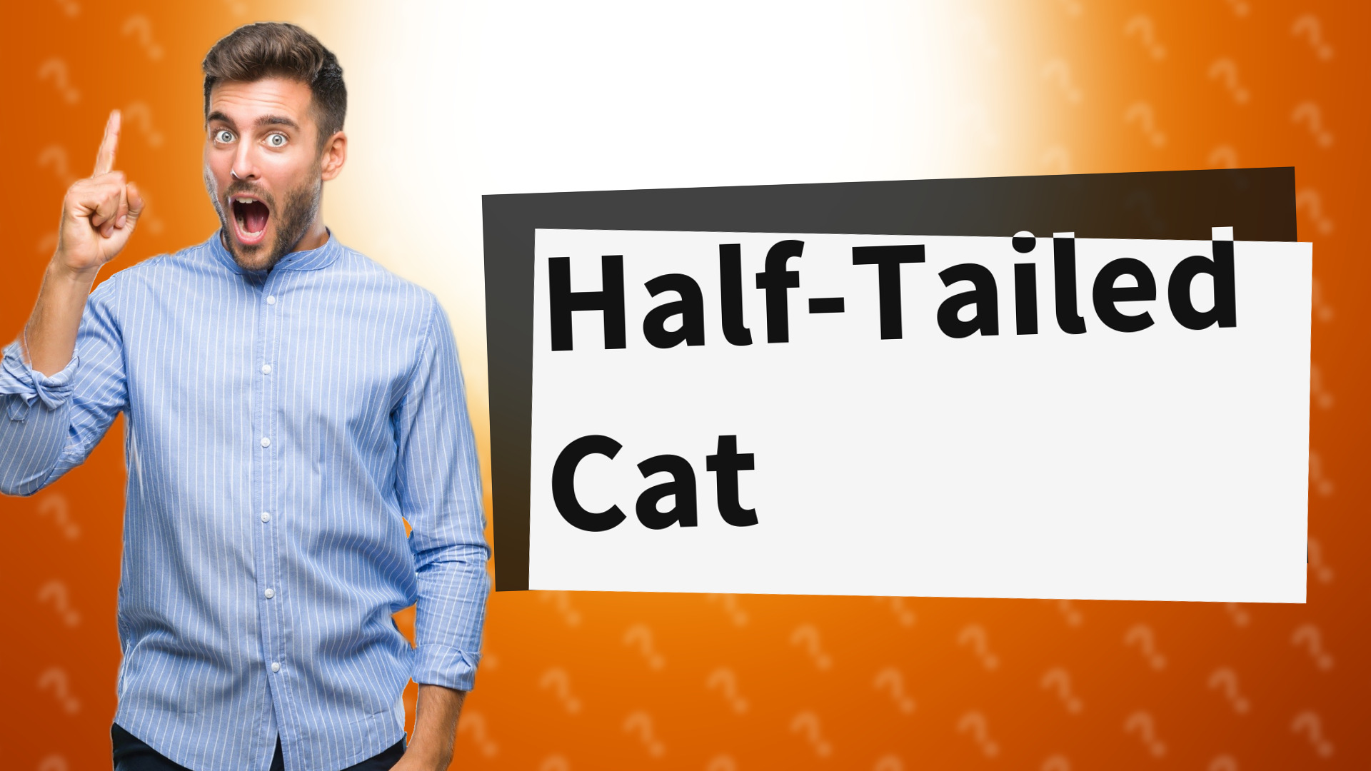 Half-Tailed Cat