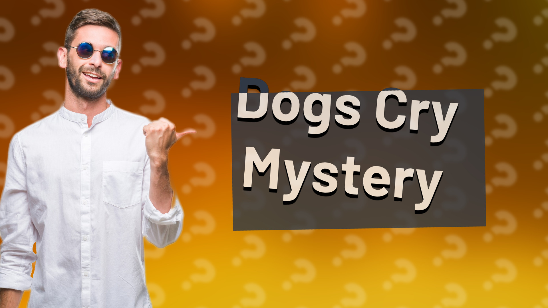 Dogs Cry Mystery