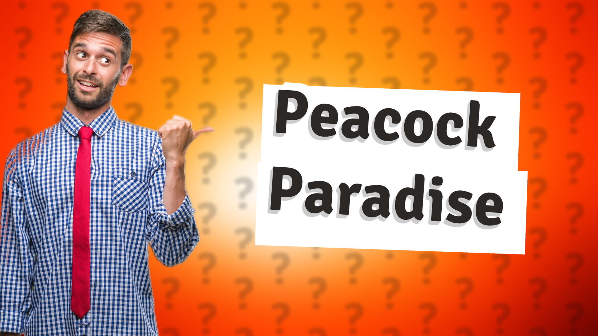 Peacock Paradise