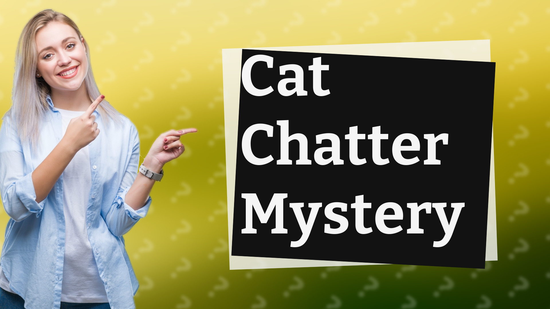 Cat Chatter Mystery