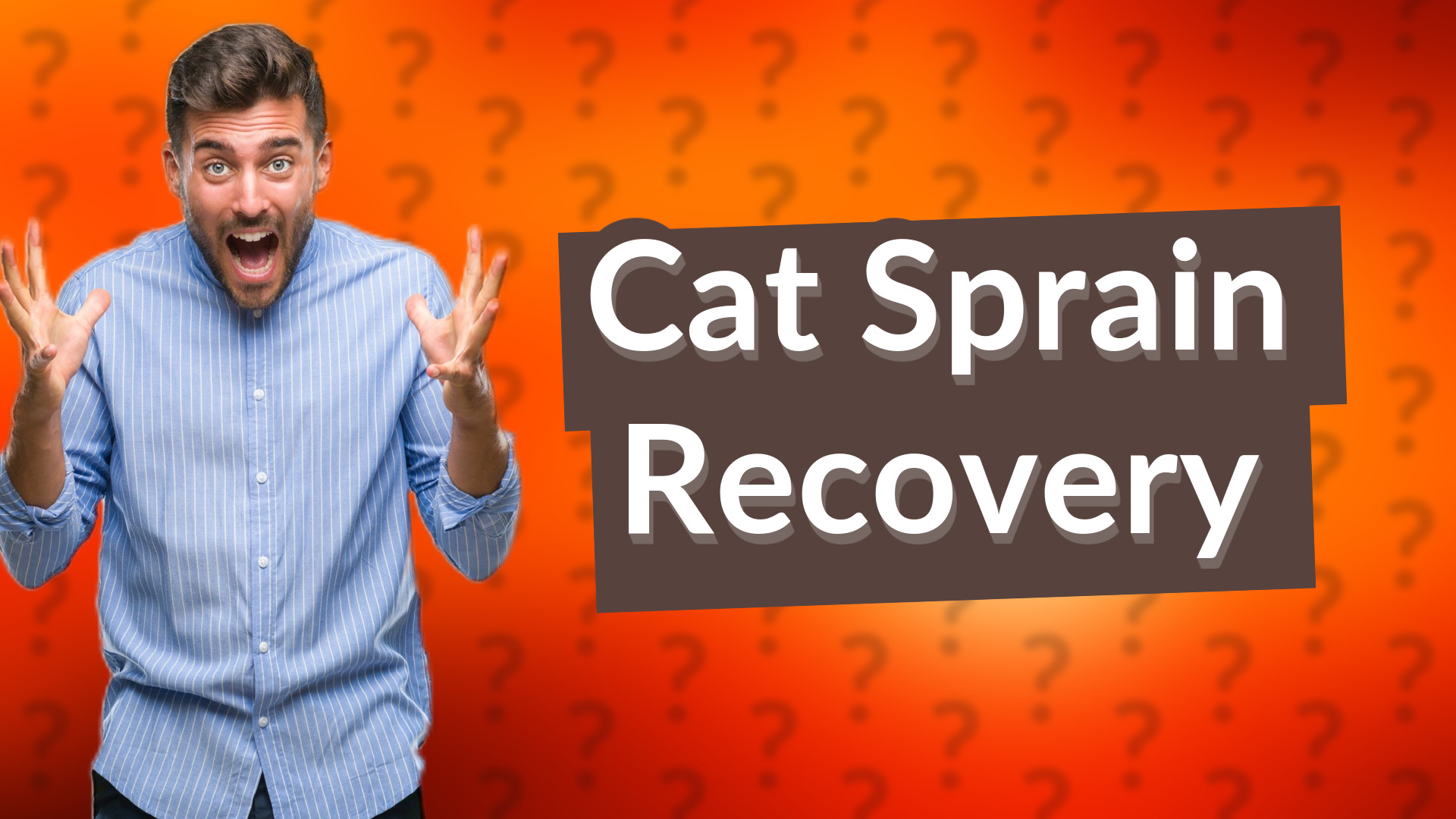 Cat Sprain Recovery