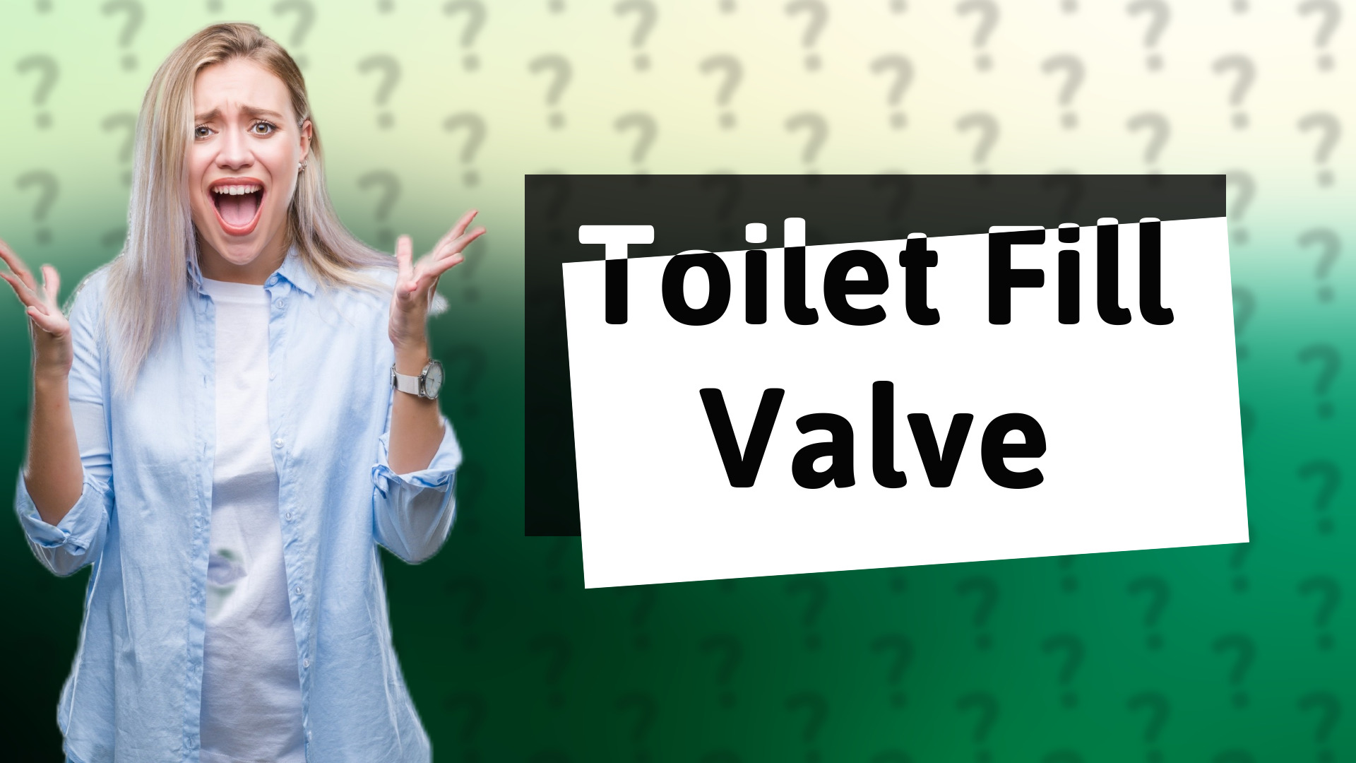 Toilet Fill Valve
