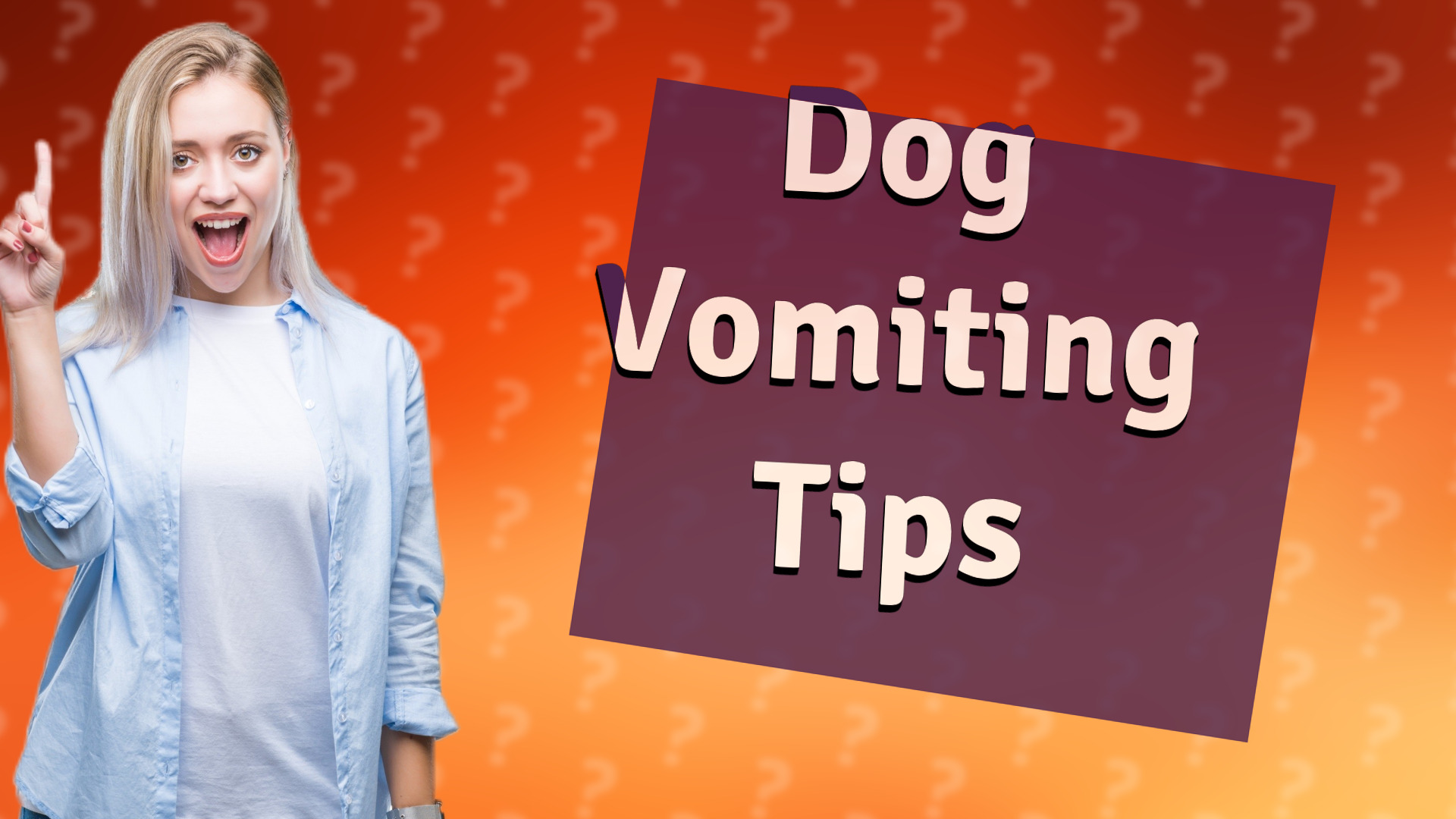 Dog Vomiting Tips