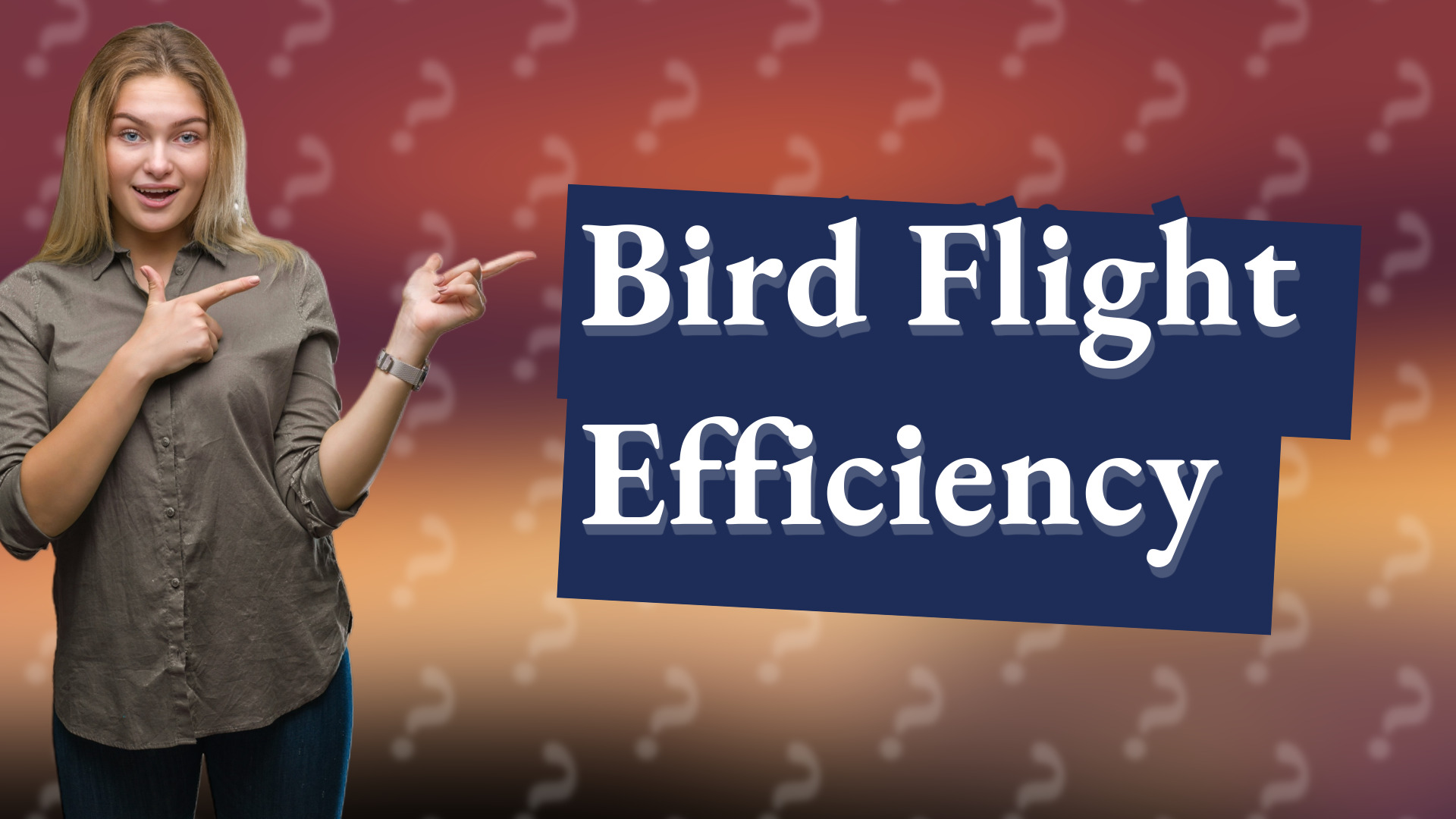 Bird Flight Efficiency