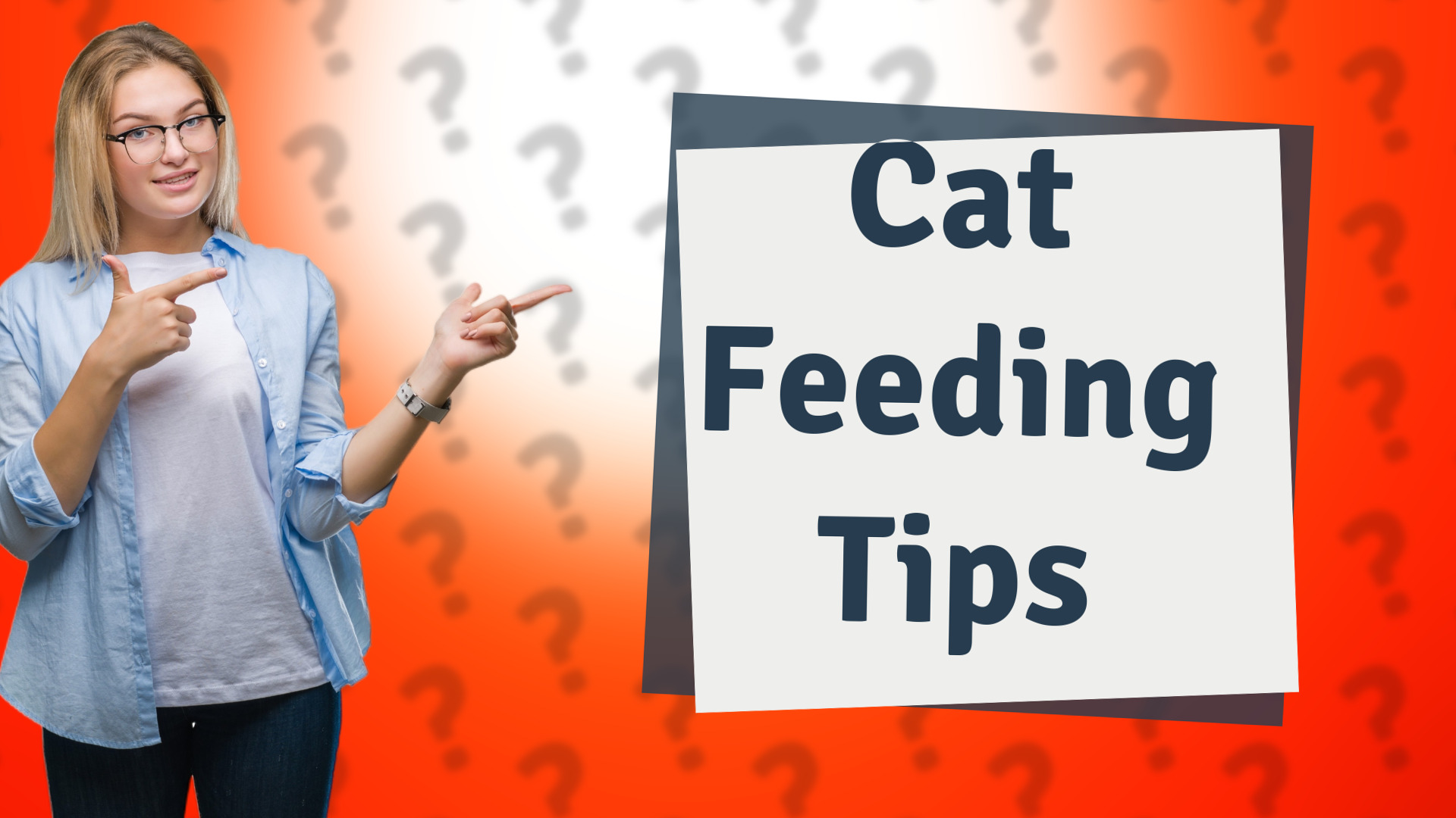 Cat Feeding Tips