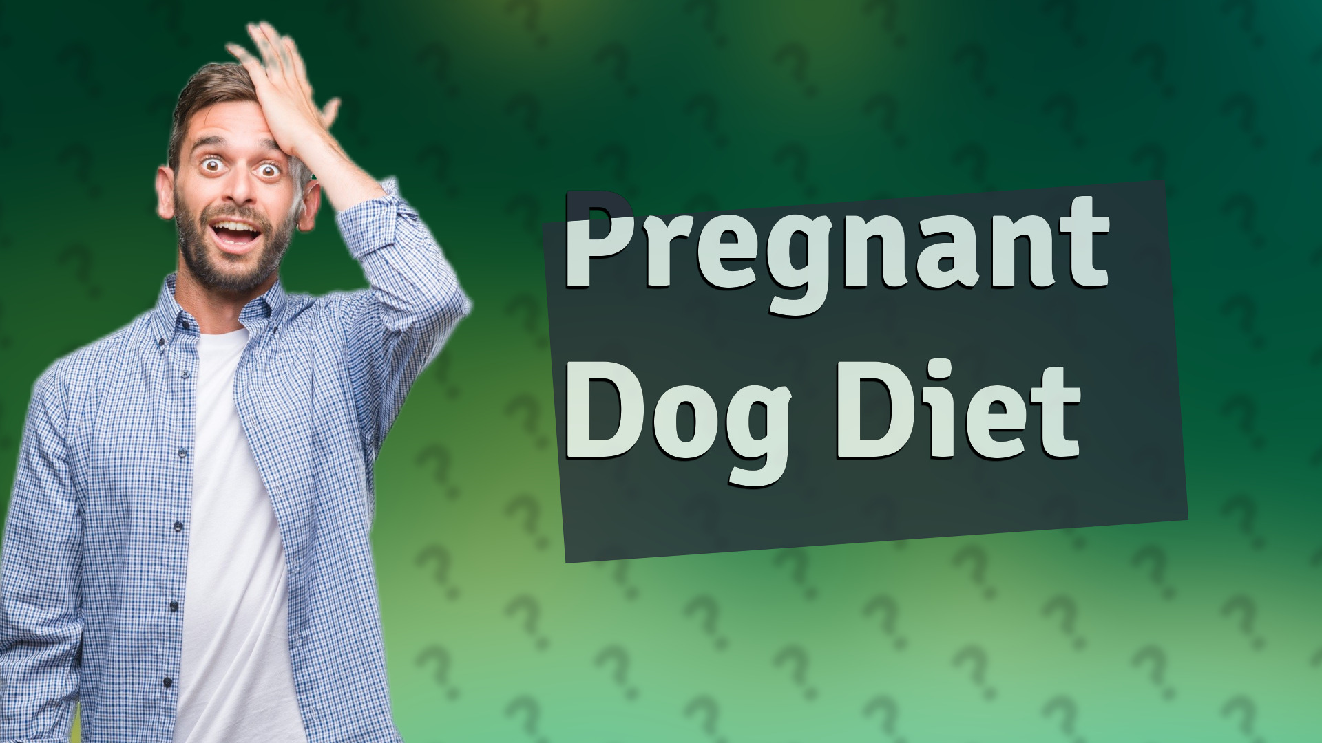 Pregnant Dog Diet