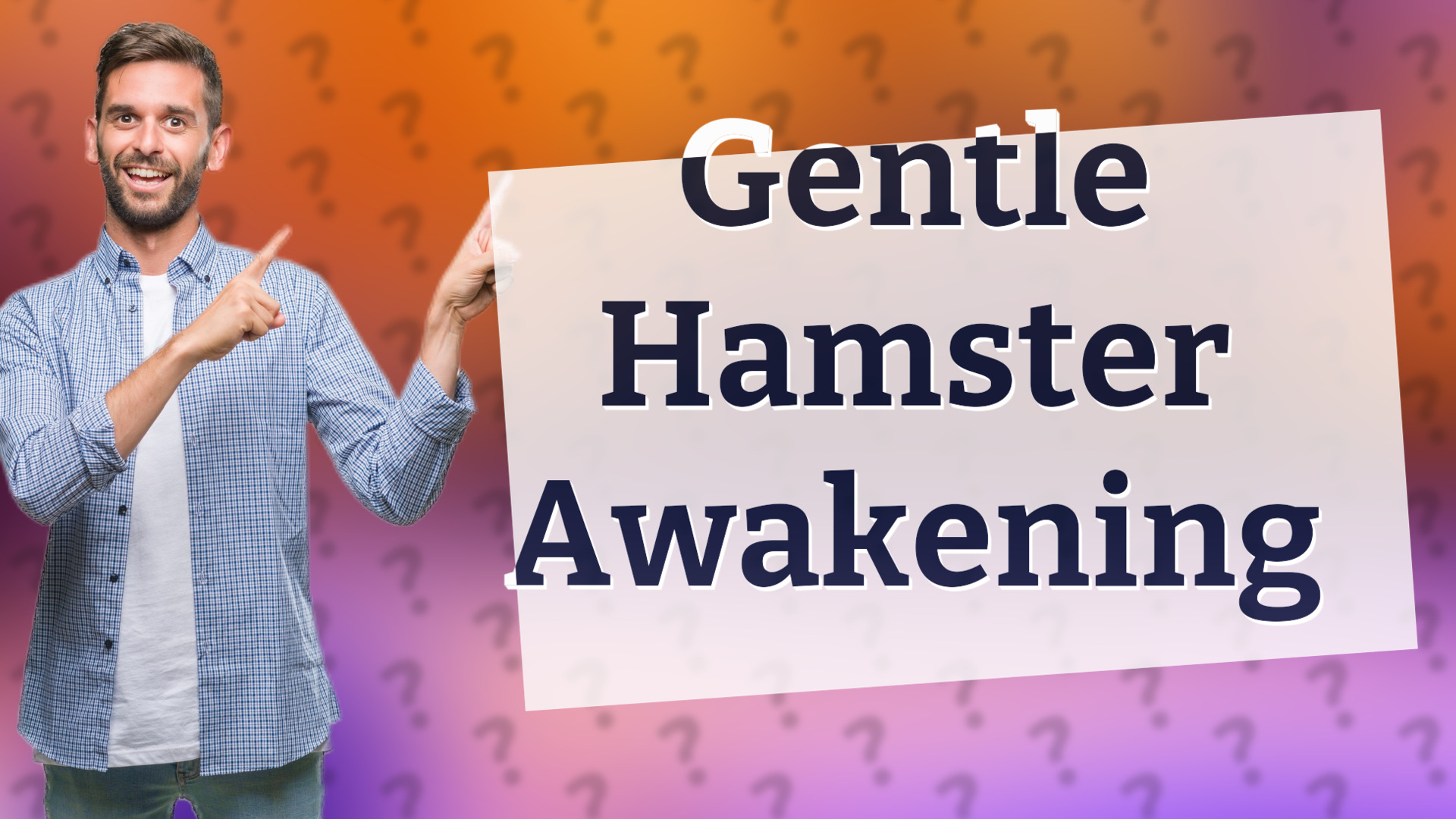 Gentle Hamster Awakening