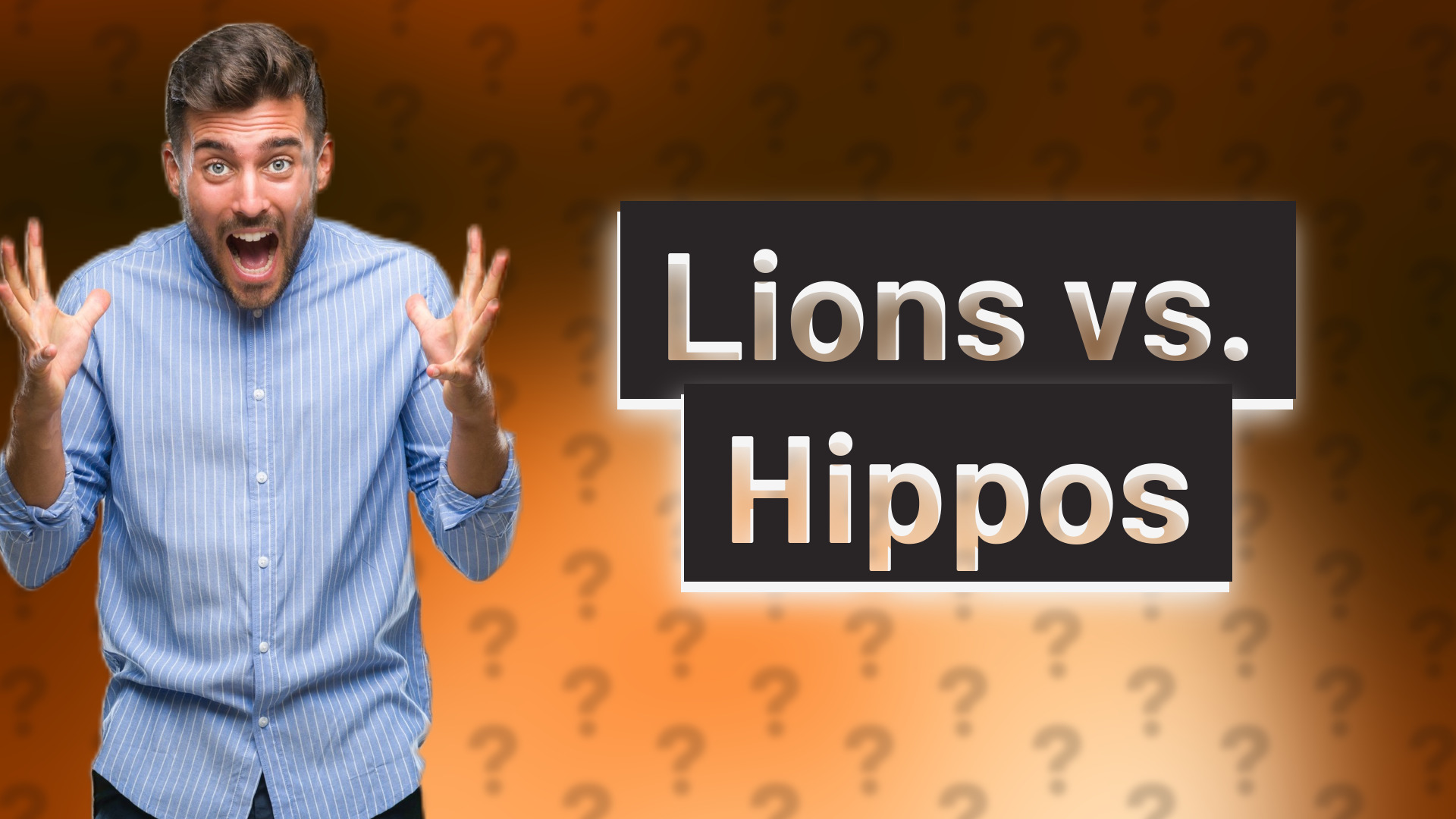 Lions vs. Hippos