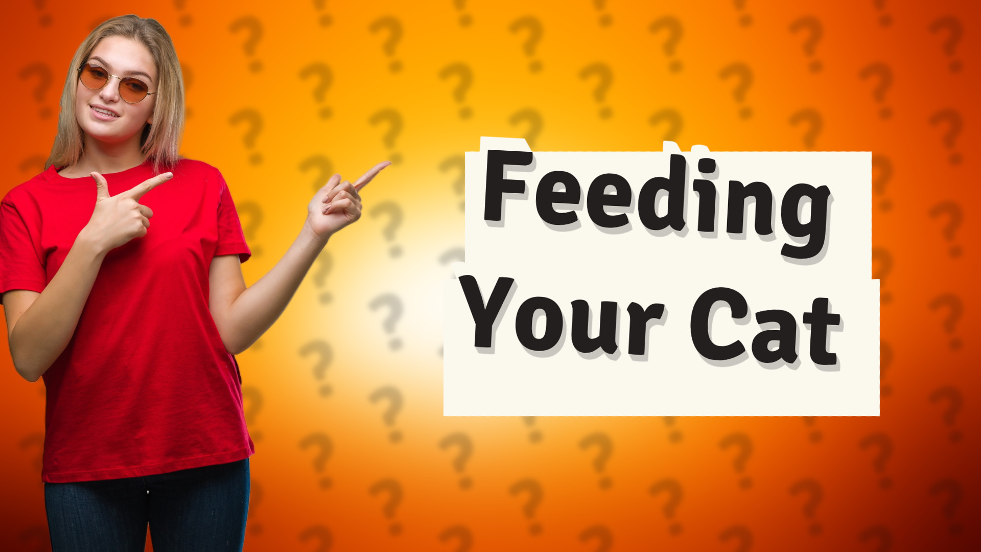 Feeding Your Cat