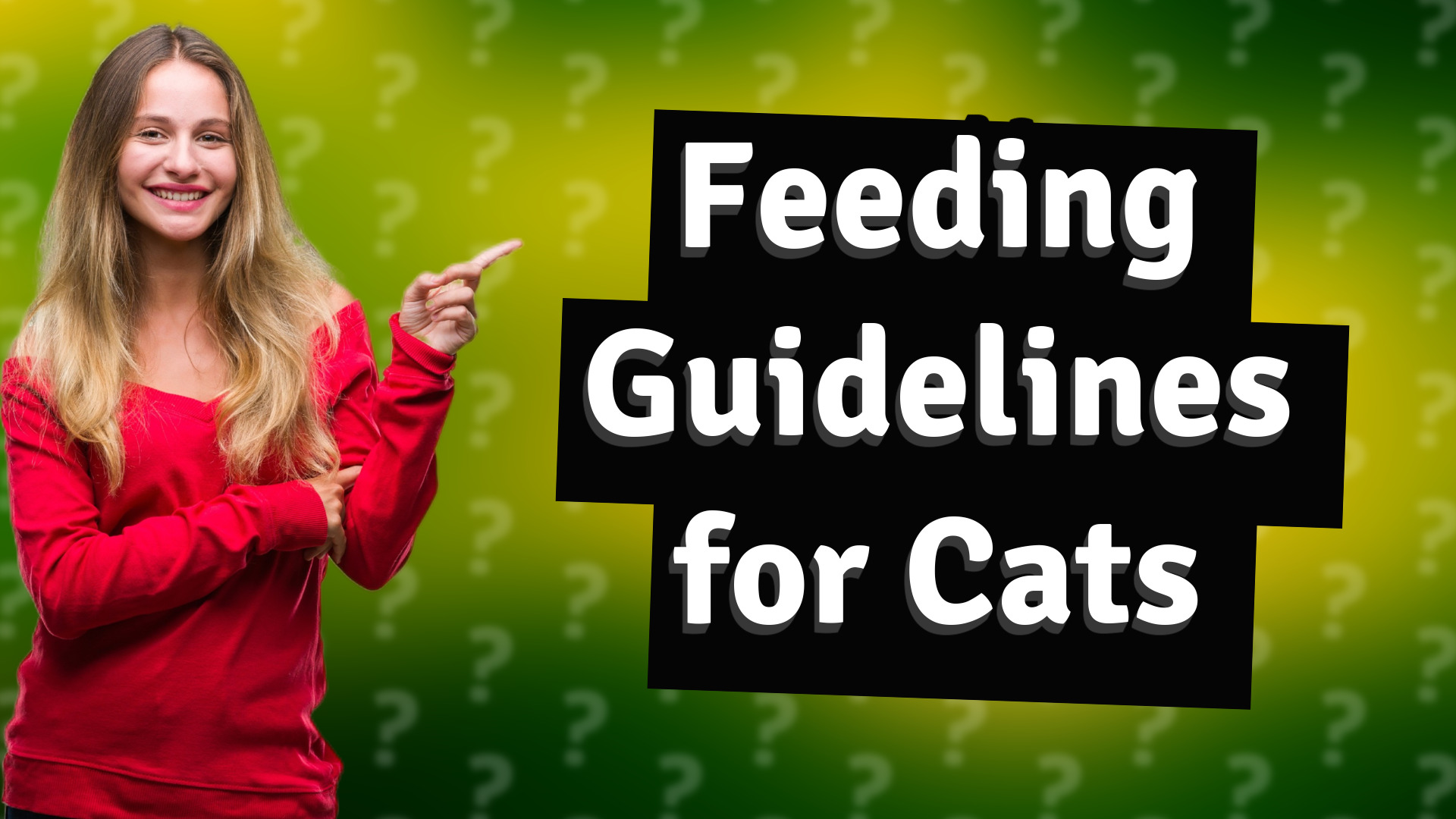Feeding Guidelines for Cats