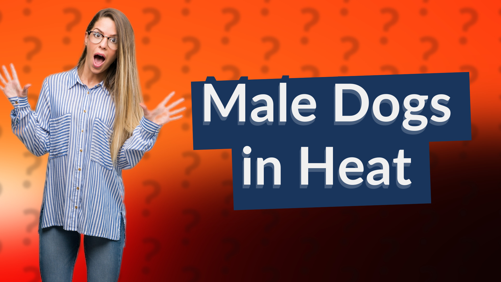 Male Dogs in Heat