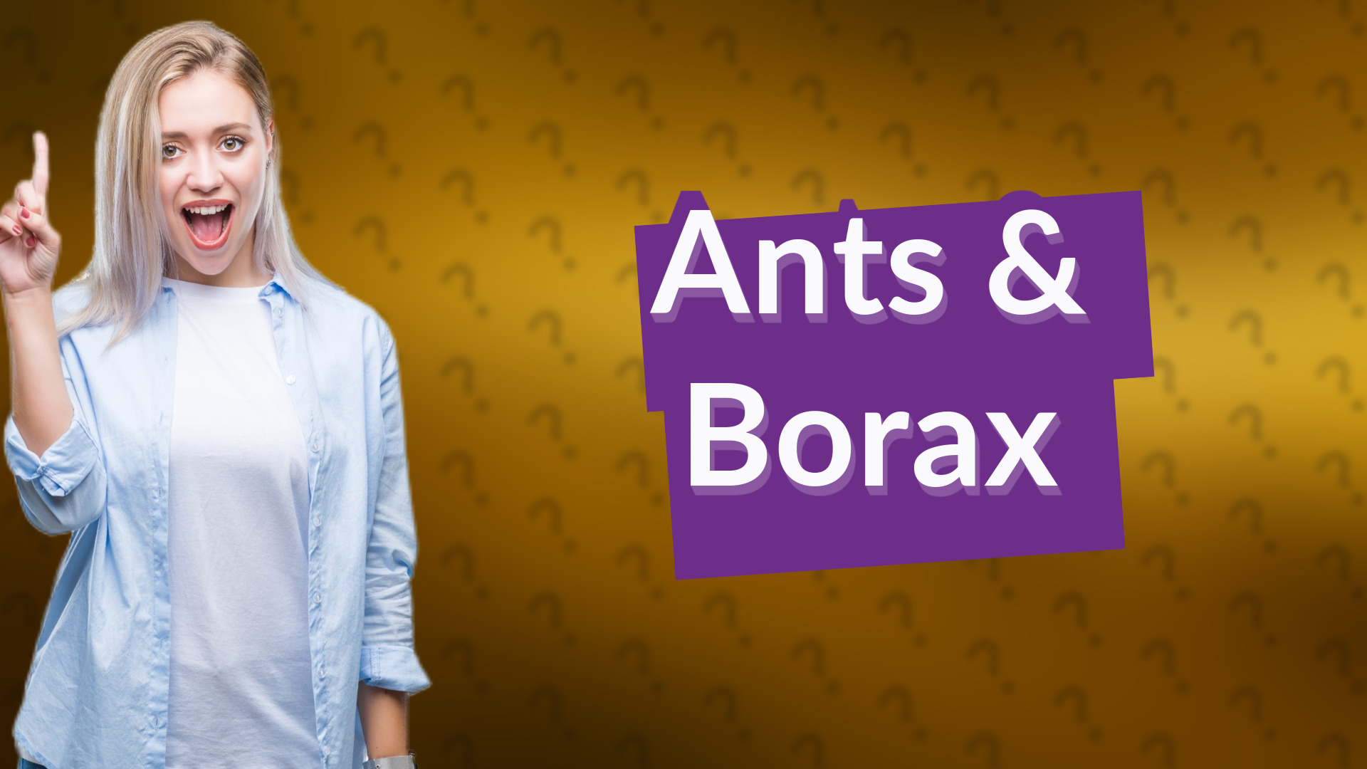 Ants & Borax