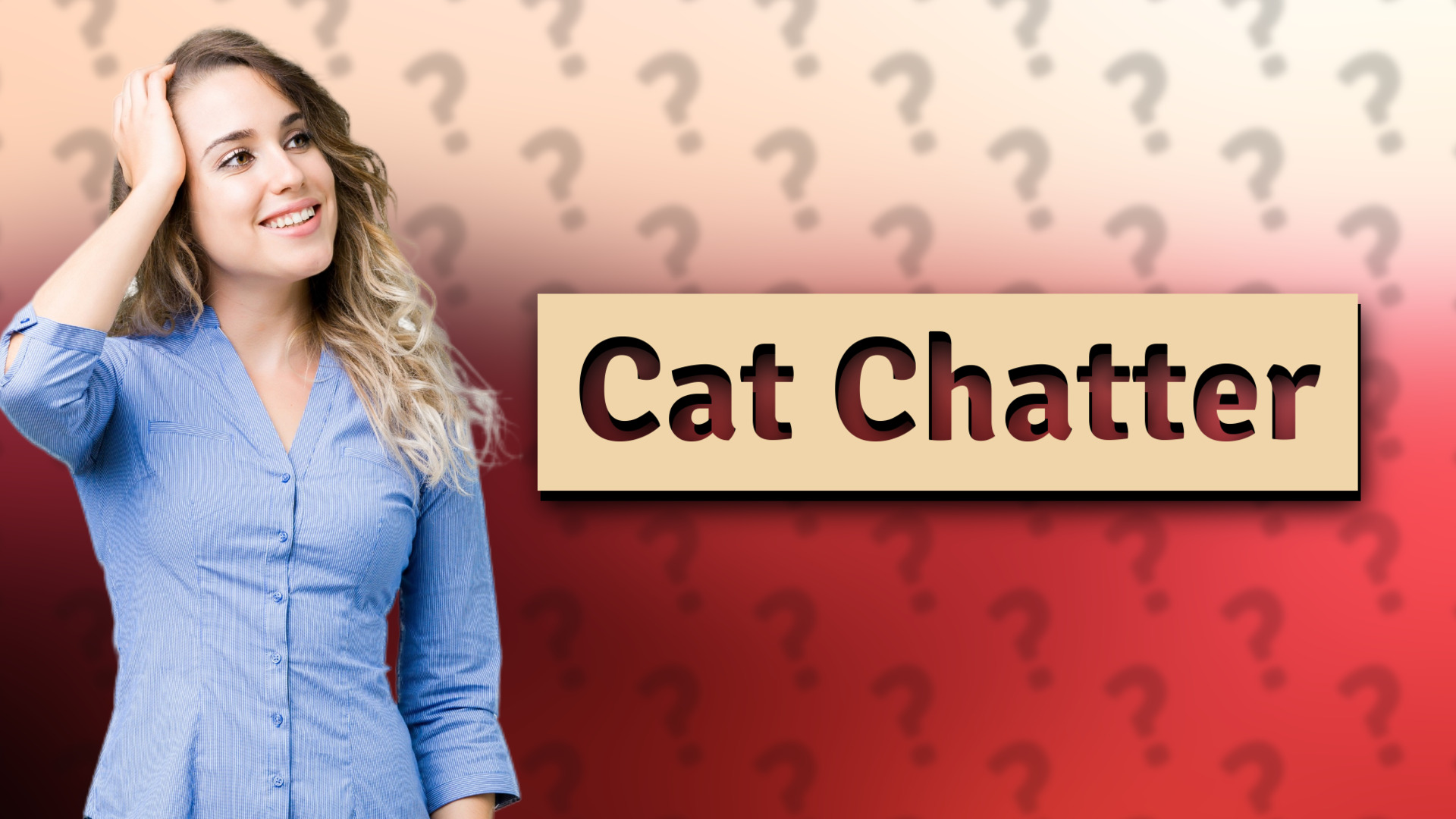 Cat Chatter