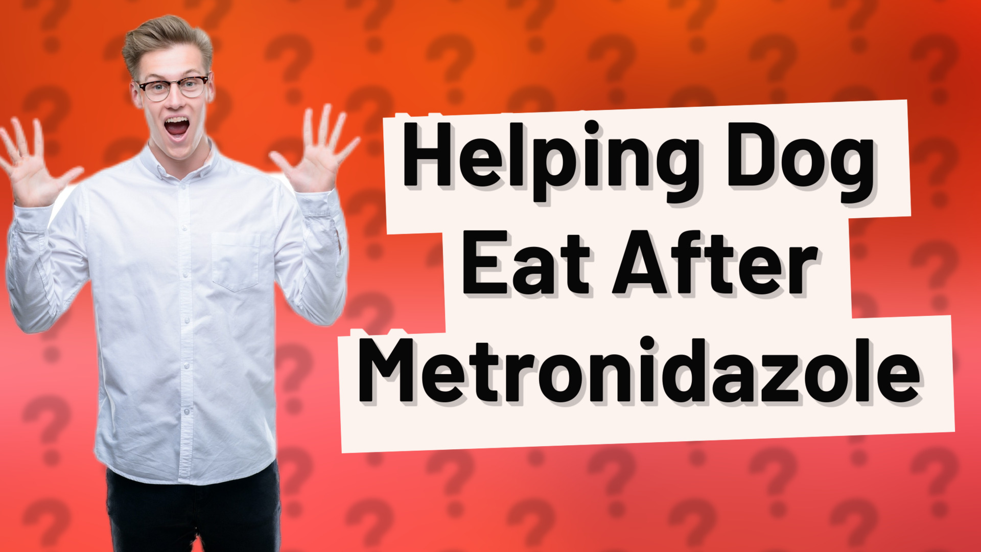 Helping Dog Eat After Metronidazole