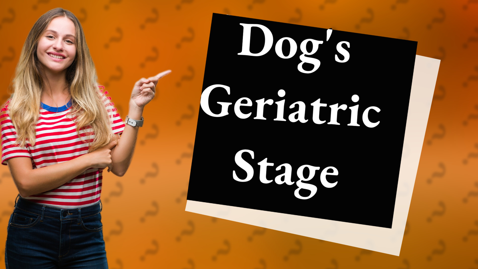 Dog's Geriatric Stage