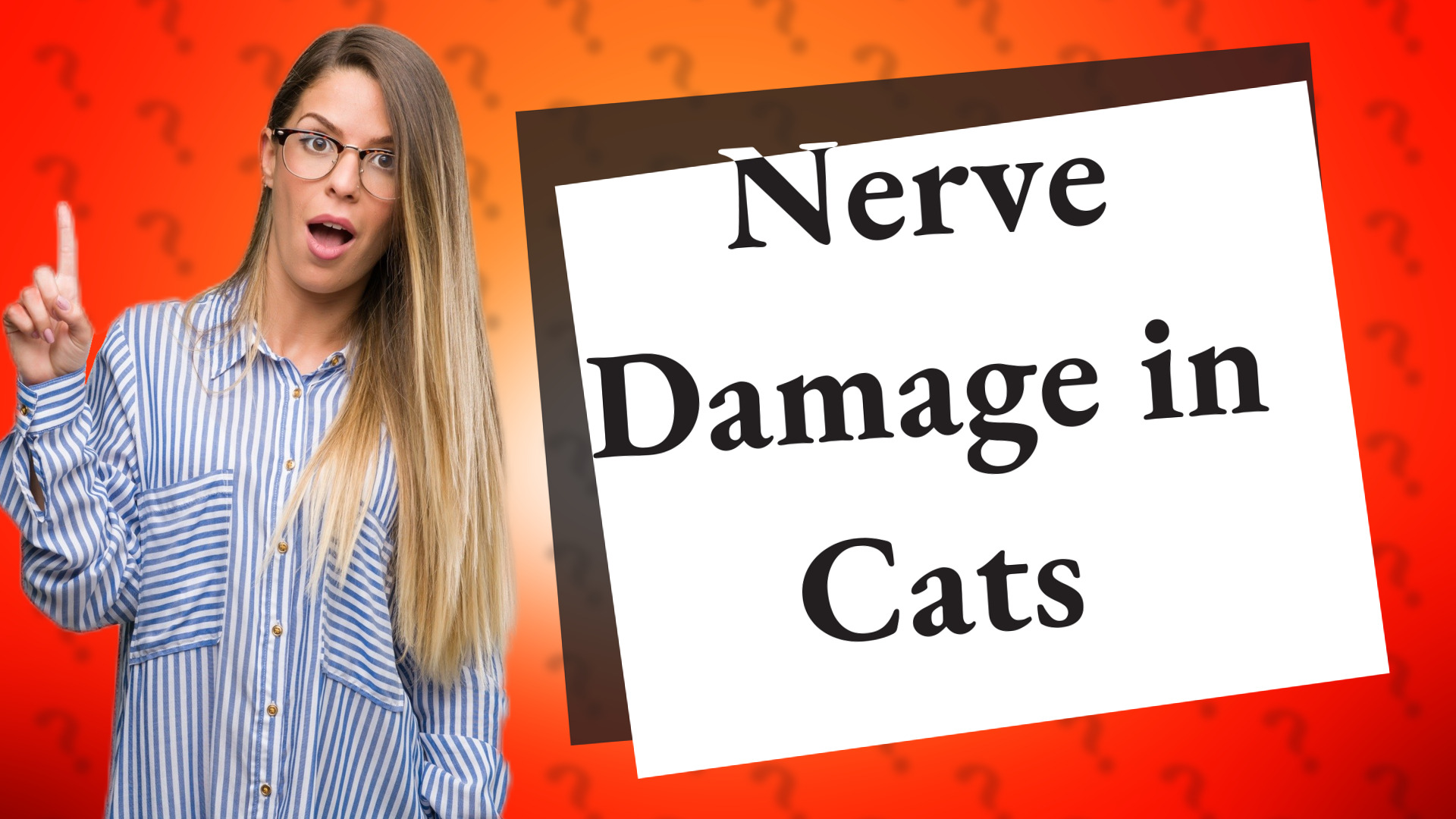 Nerve Damage in Cats