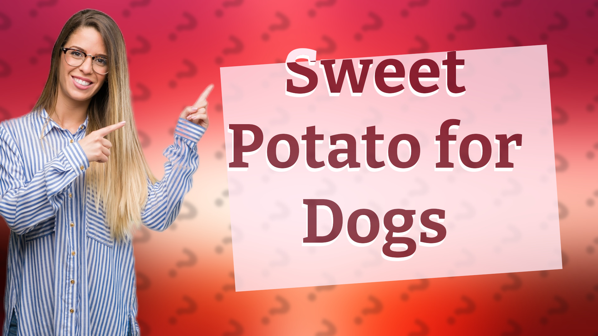 Sweet Potato for Dogs