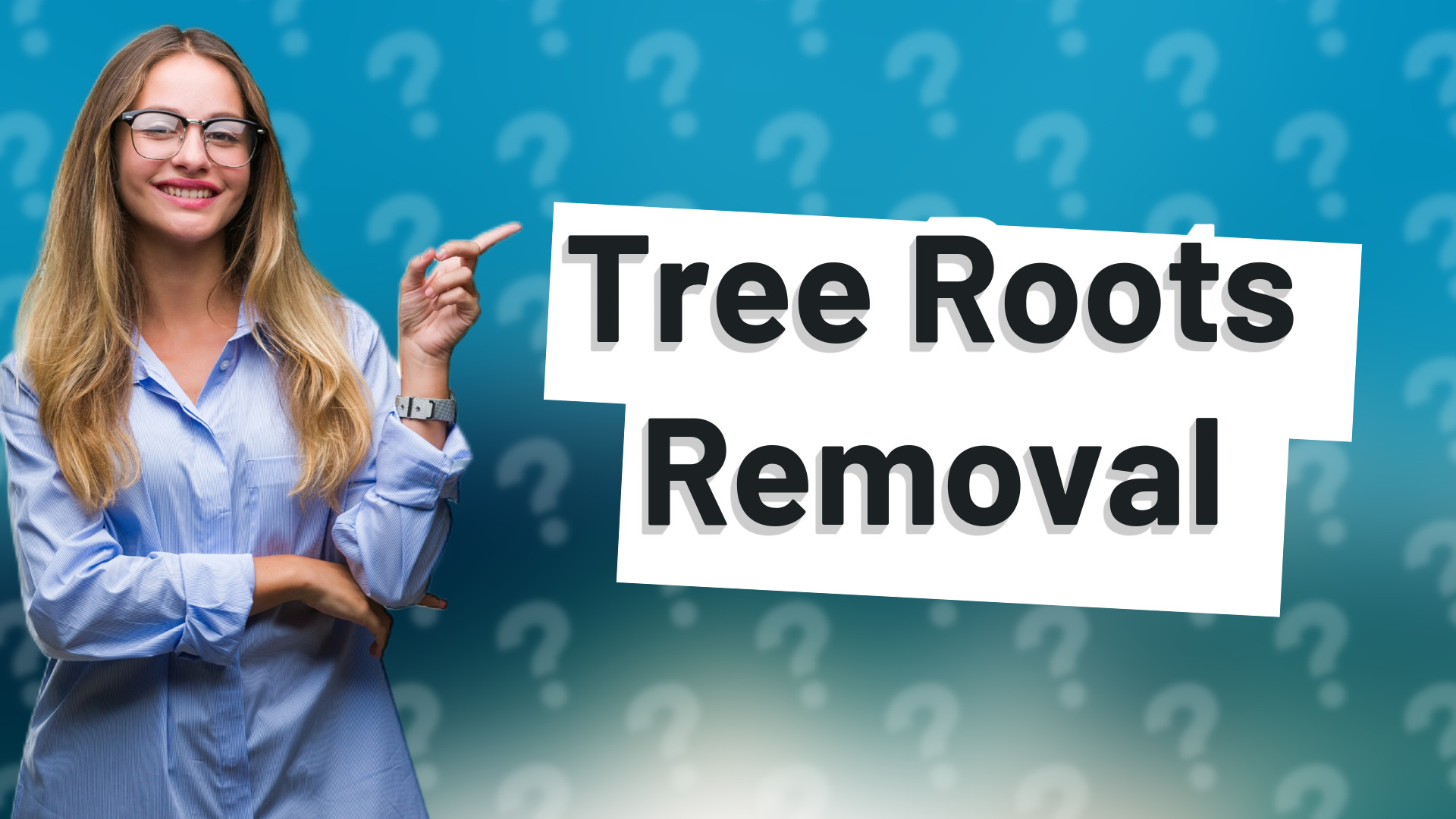 Tree Roots Removal