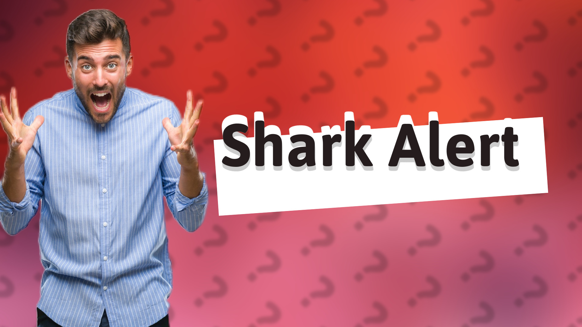Shark Alert