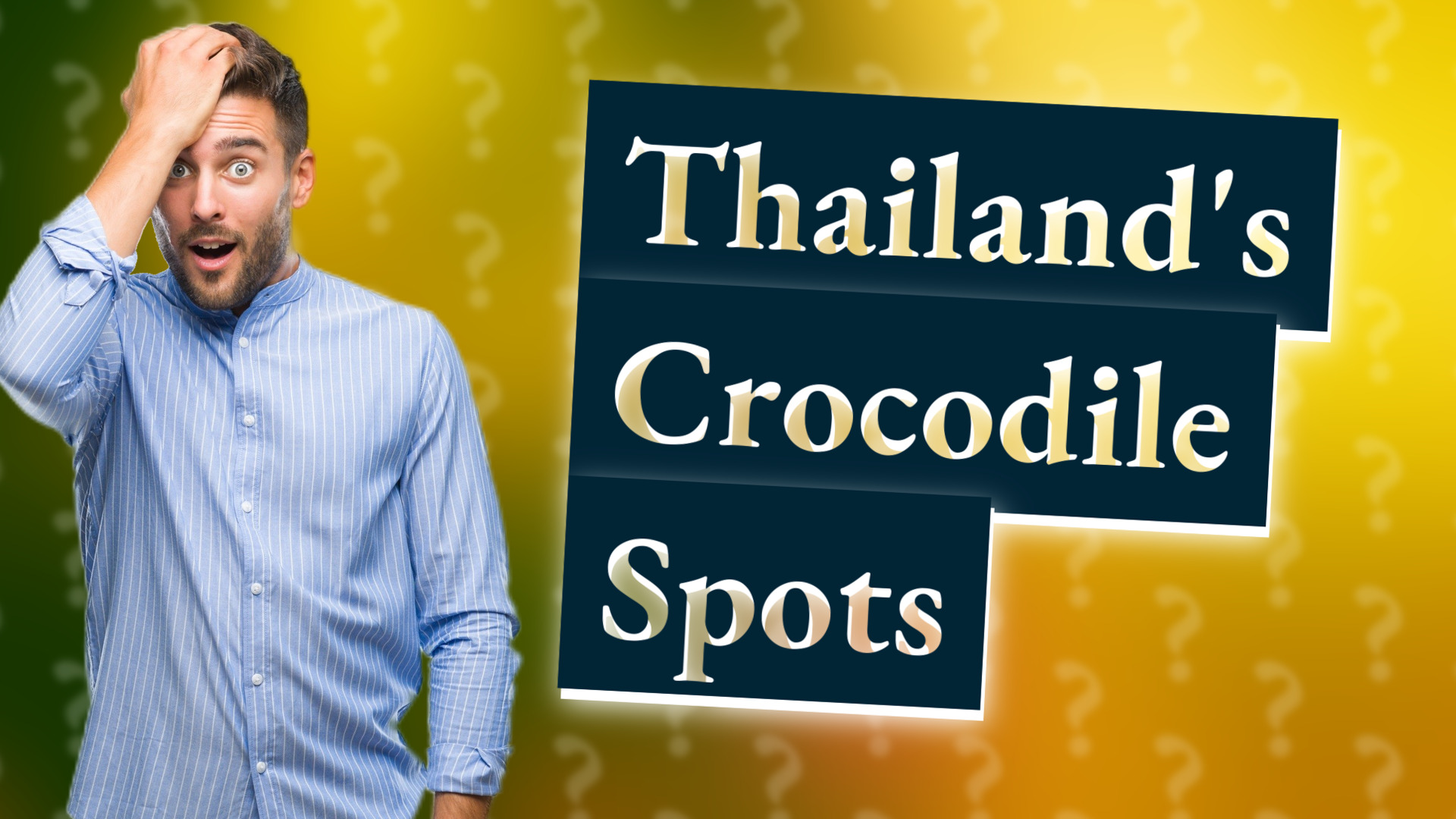 Thailand's Crocodile Spots