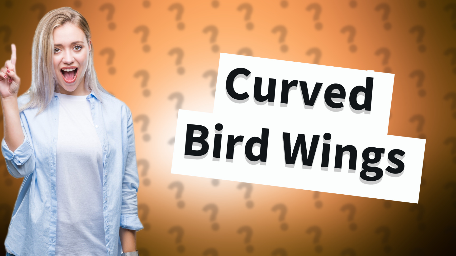 Curved Bird Wings