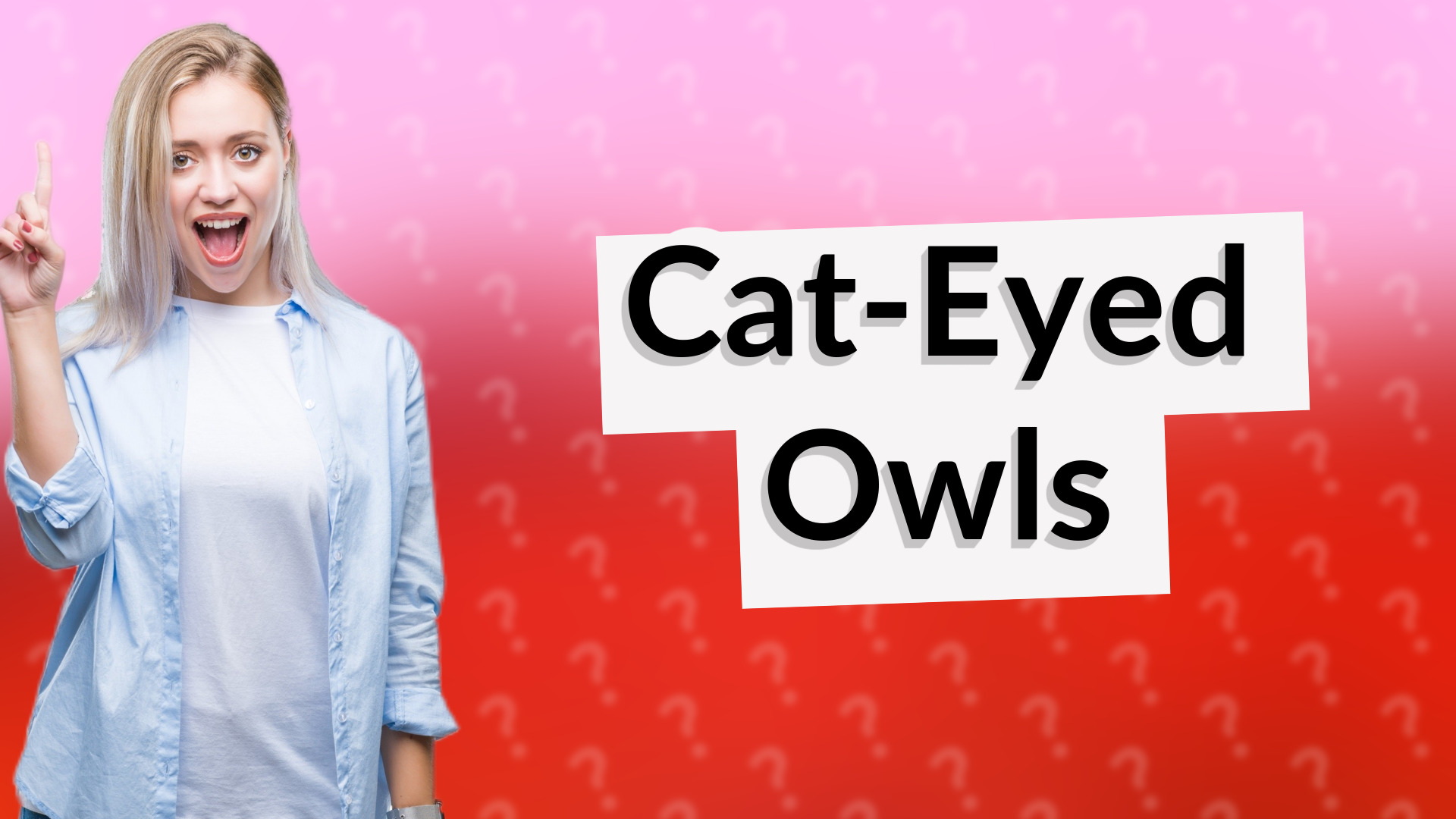 Cat-Eyed Owls