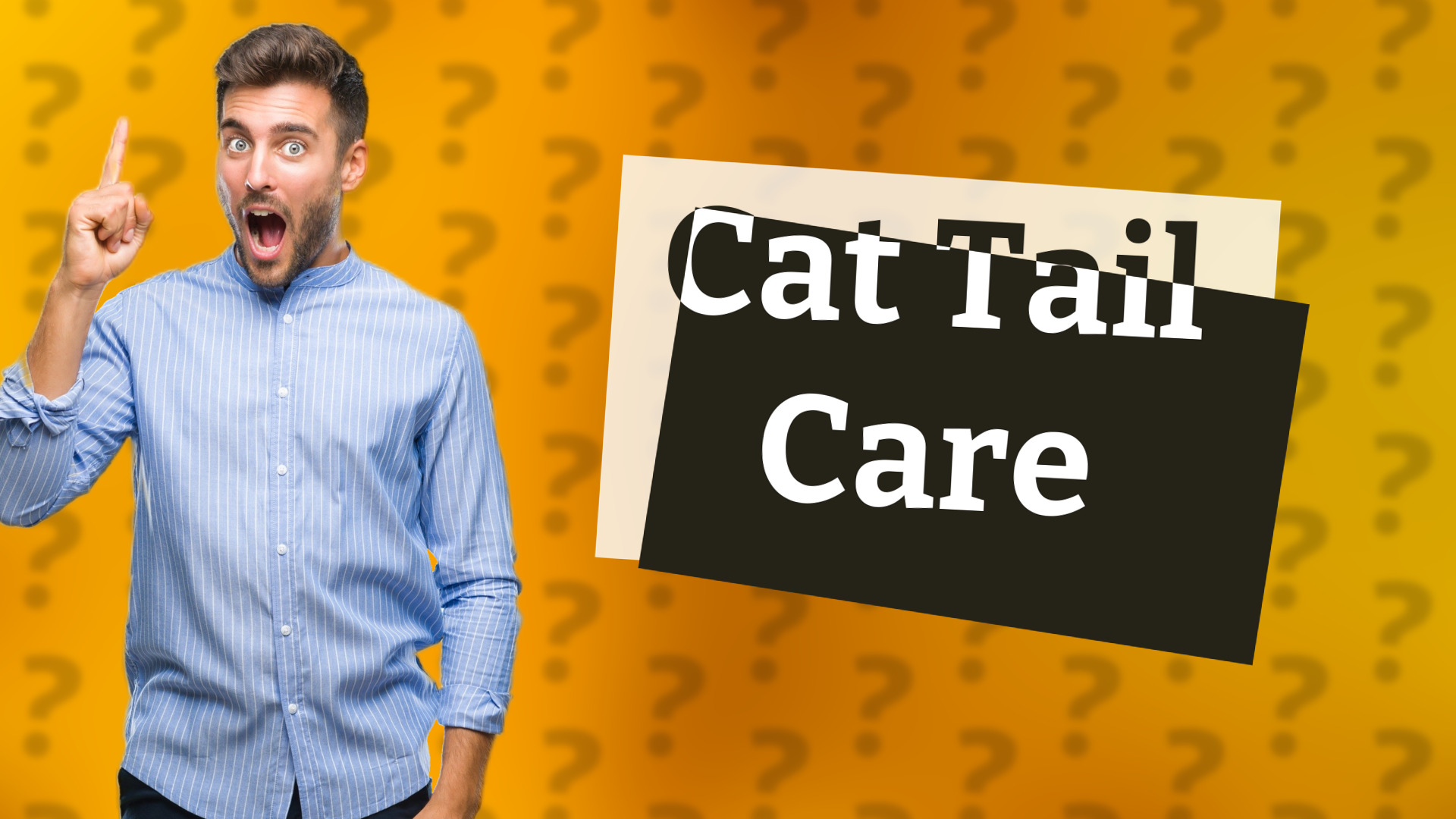 Cat Tail Care