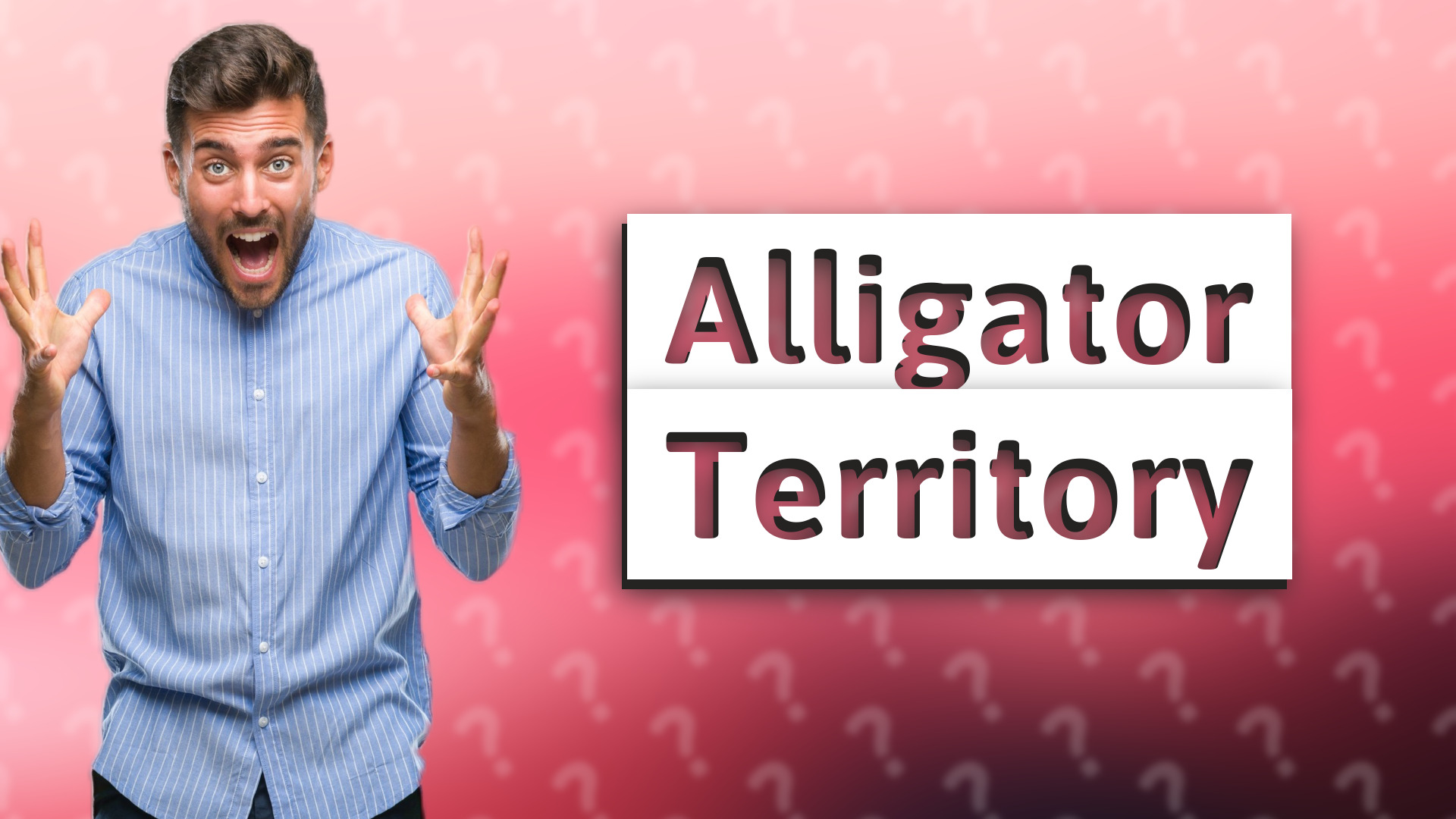 Alligator Territory