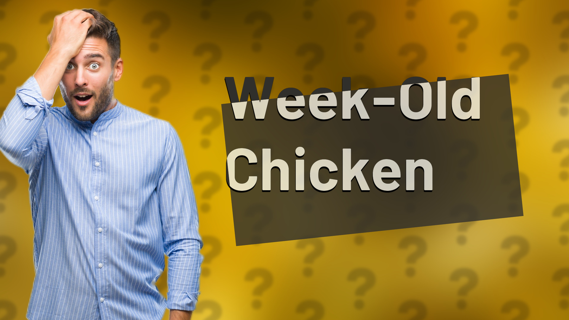 Week-Old Chicken