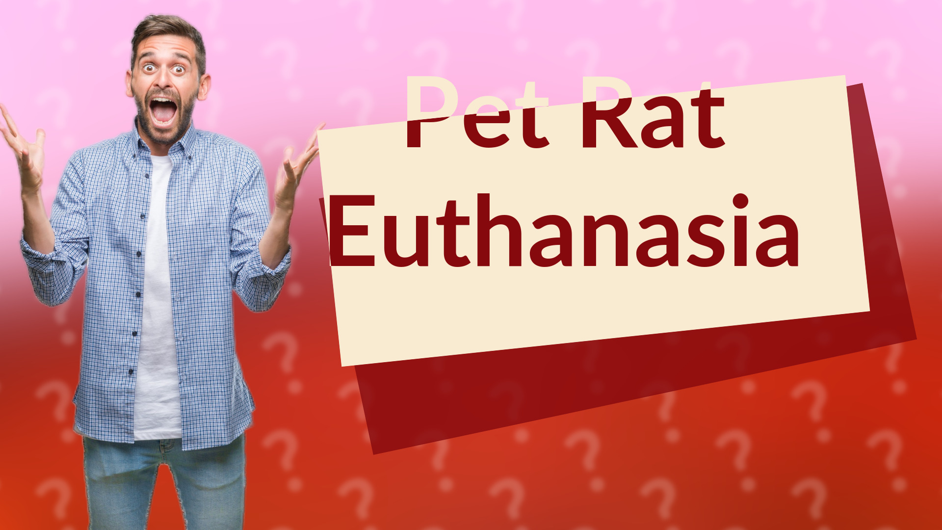 Pet Rat Euthanasia