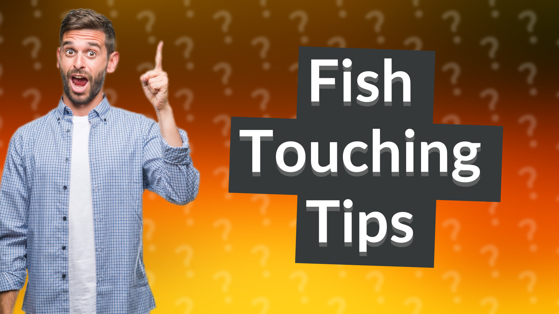 Fish Touching Tips