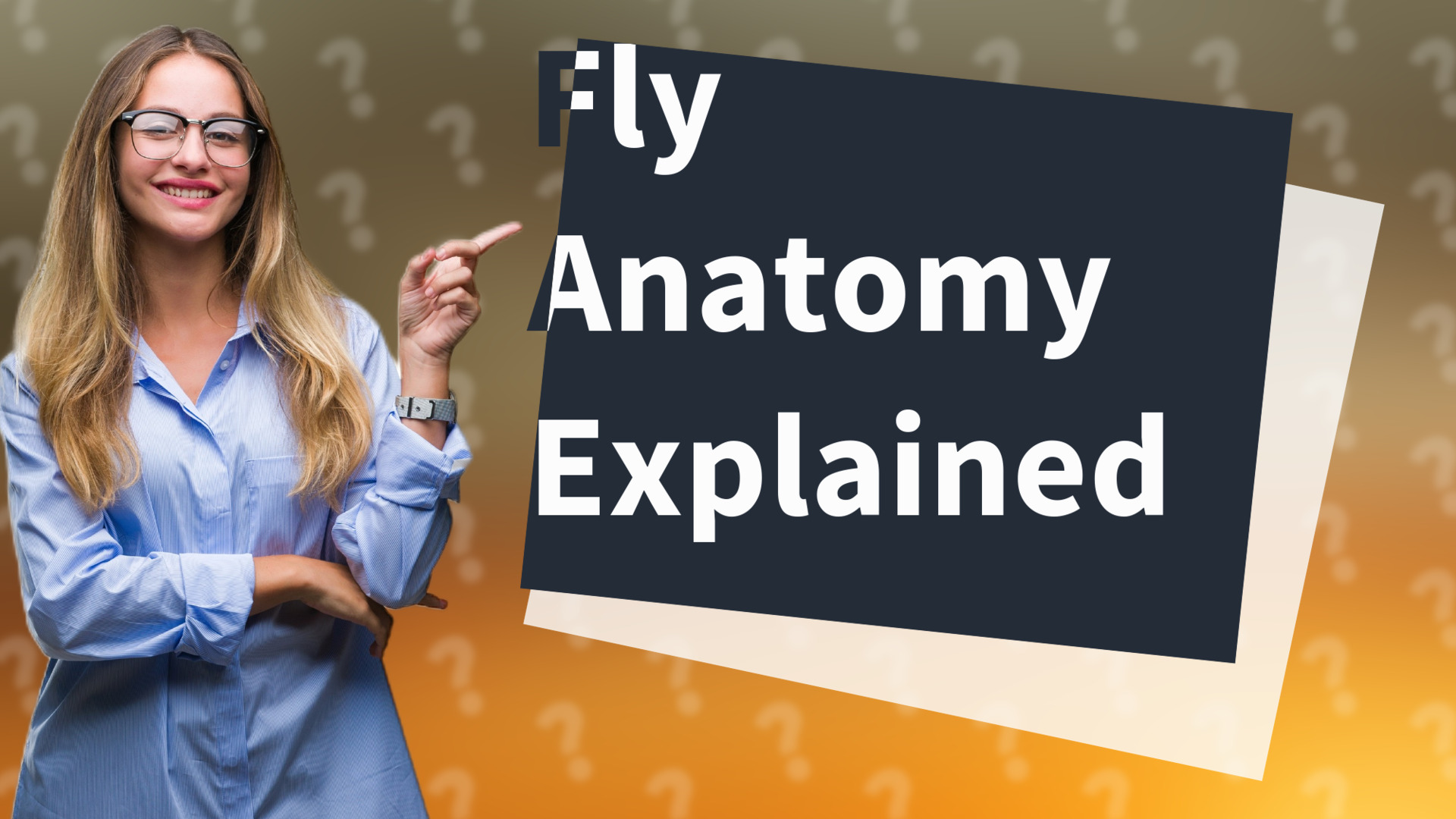 Fly Anatomy Explained